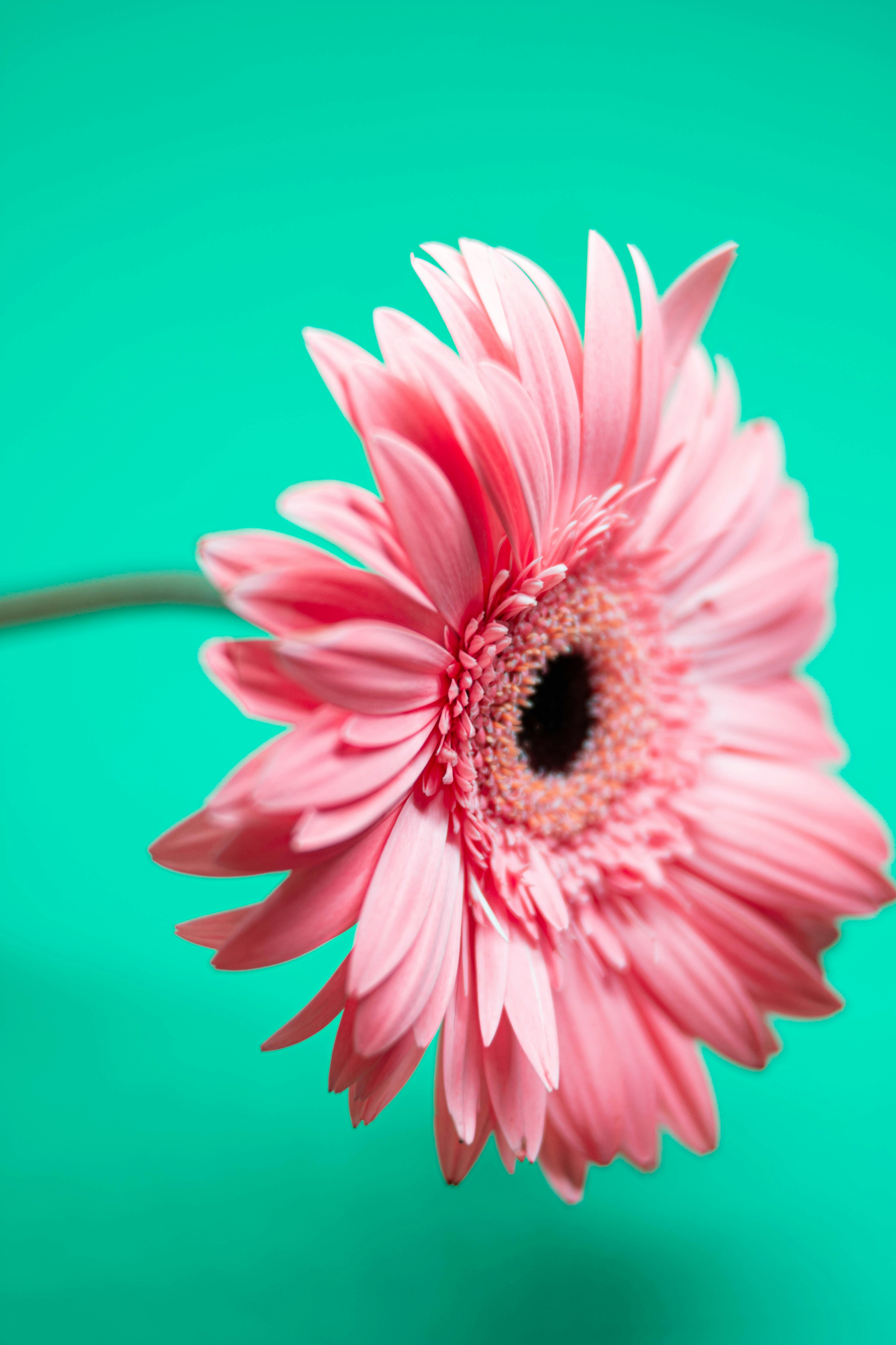 Photo by lucasgwendt