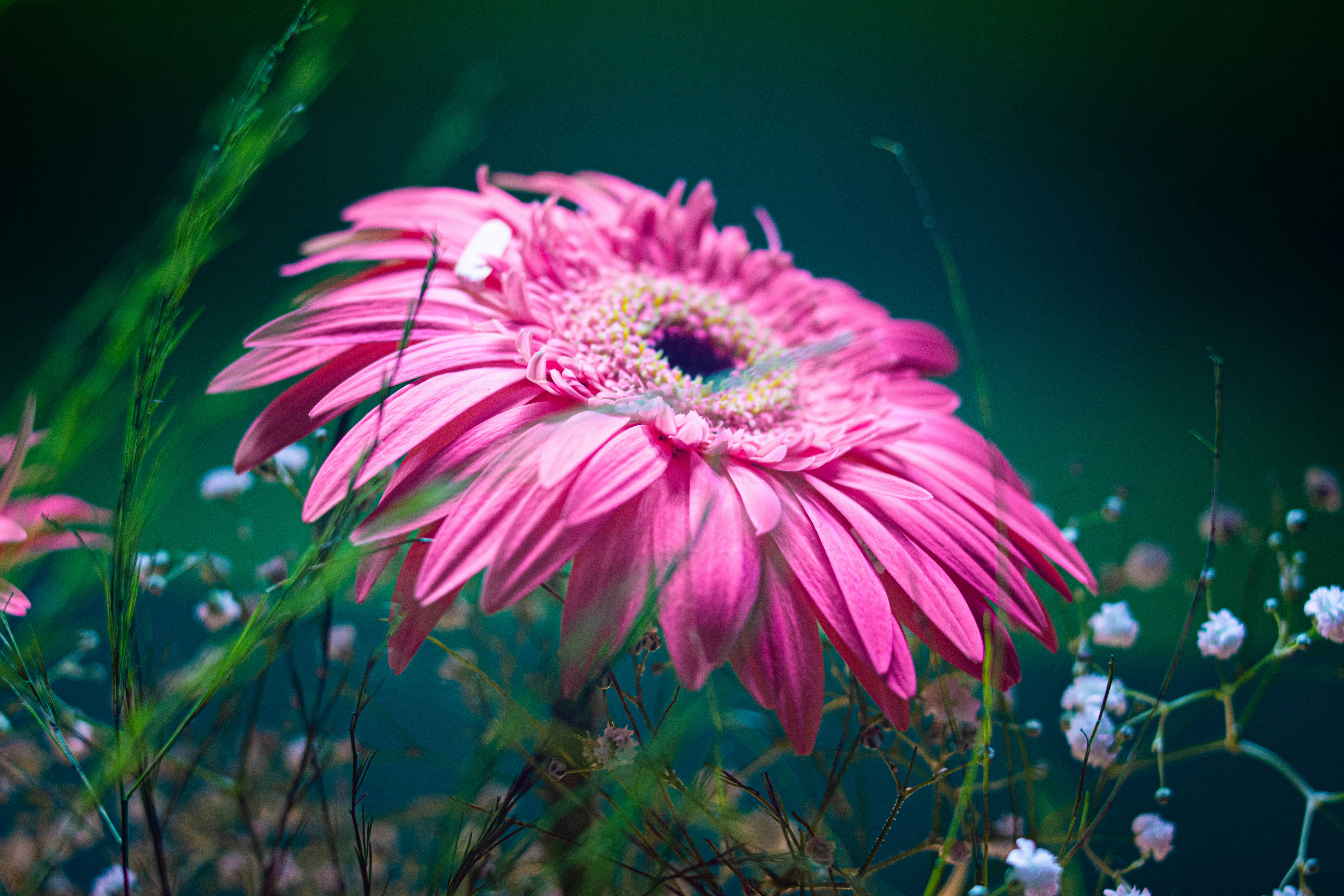 Photo by lucasgwendt