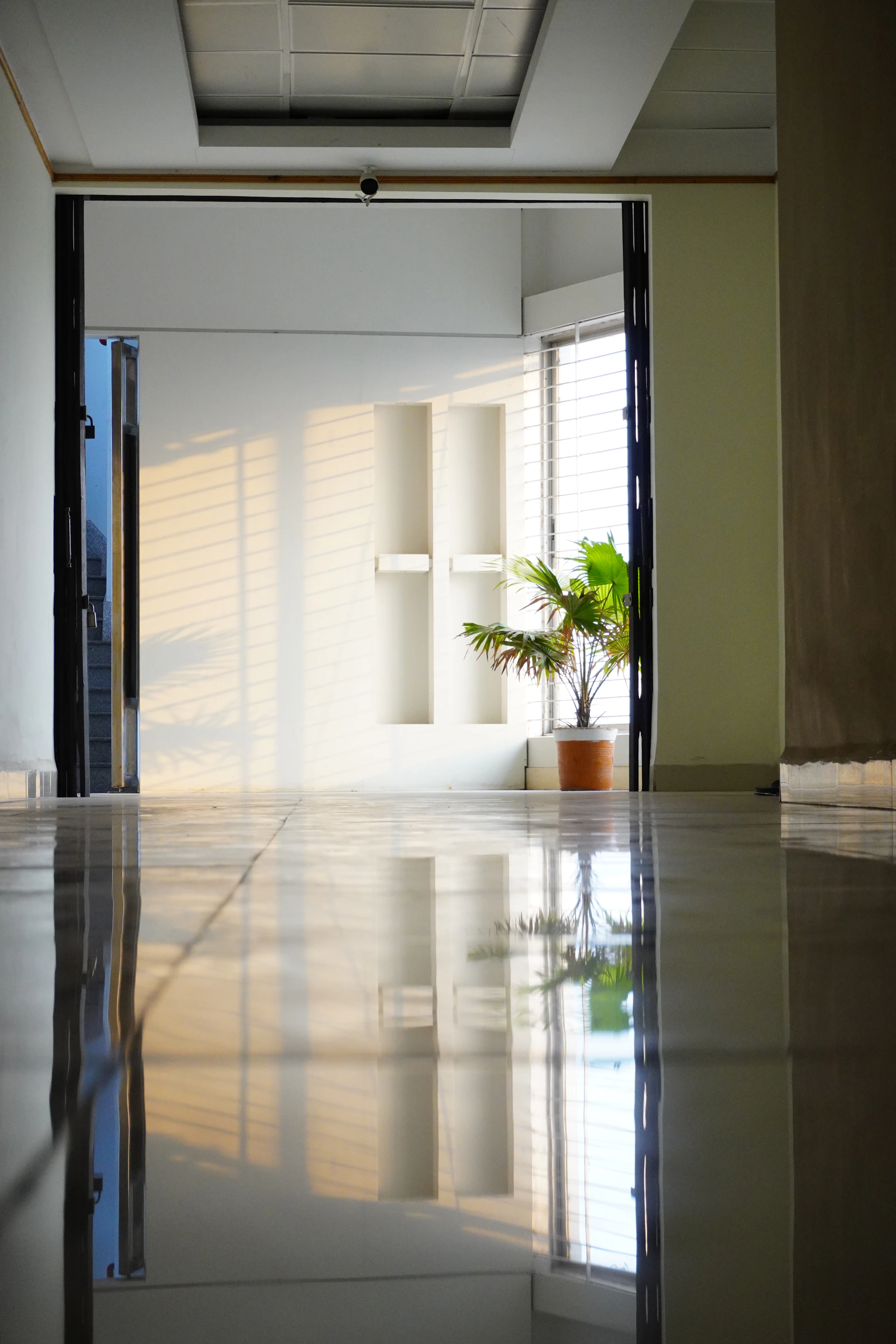 an empty room with a potted plant on the floor