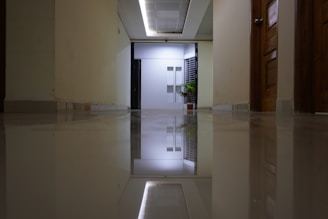 an empty hallway with a potted plant on the floor