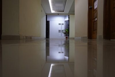 an empty hallway with a potted plant on the floor