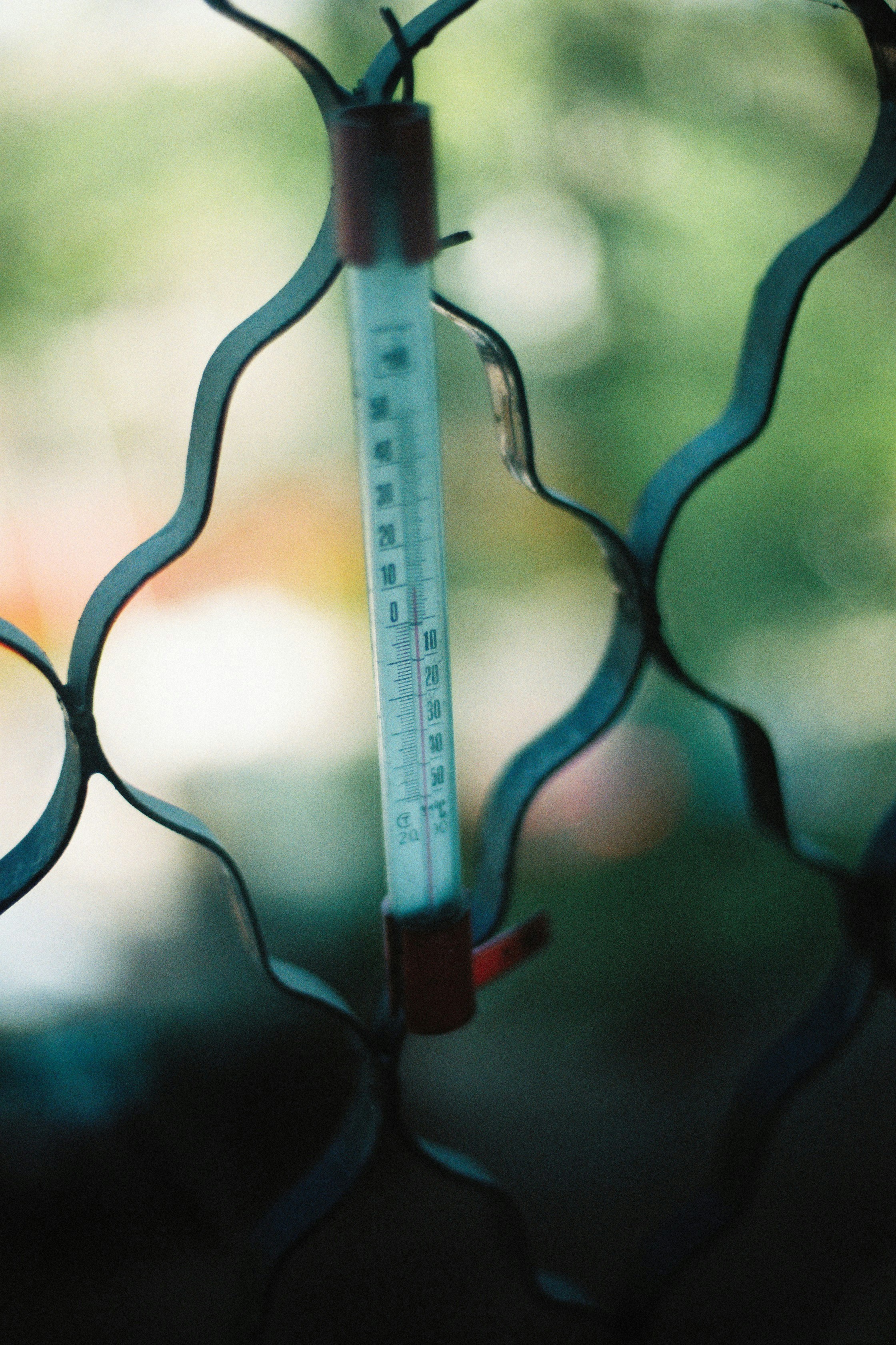 a thermometer stuck in a wire fence