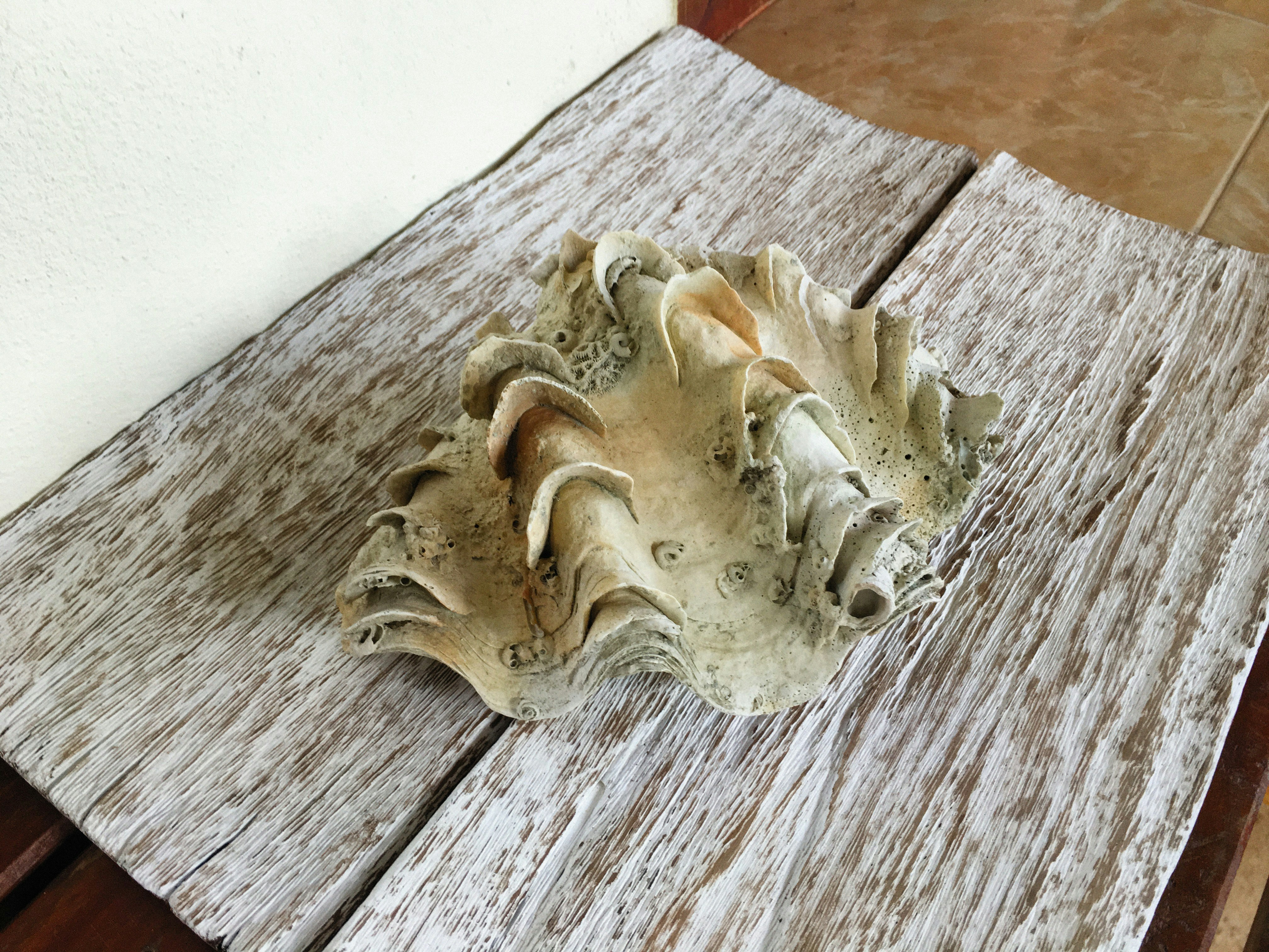 Photo by alexeydemidov