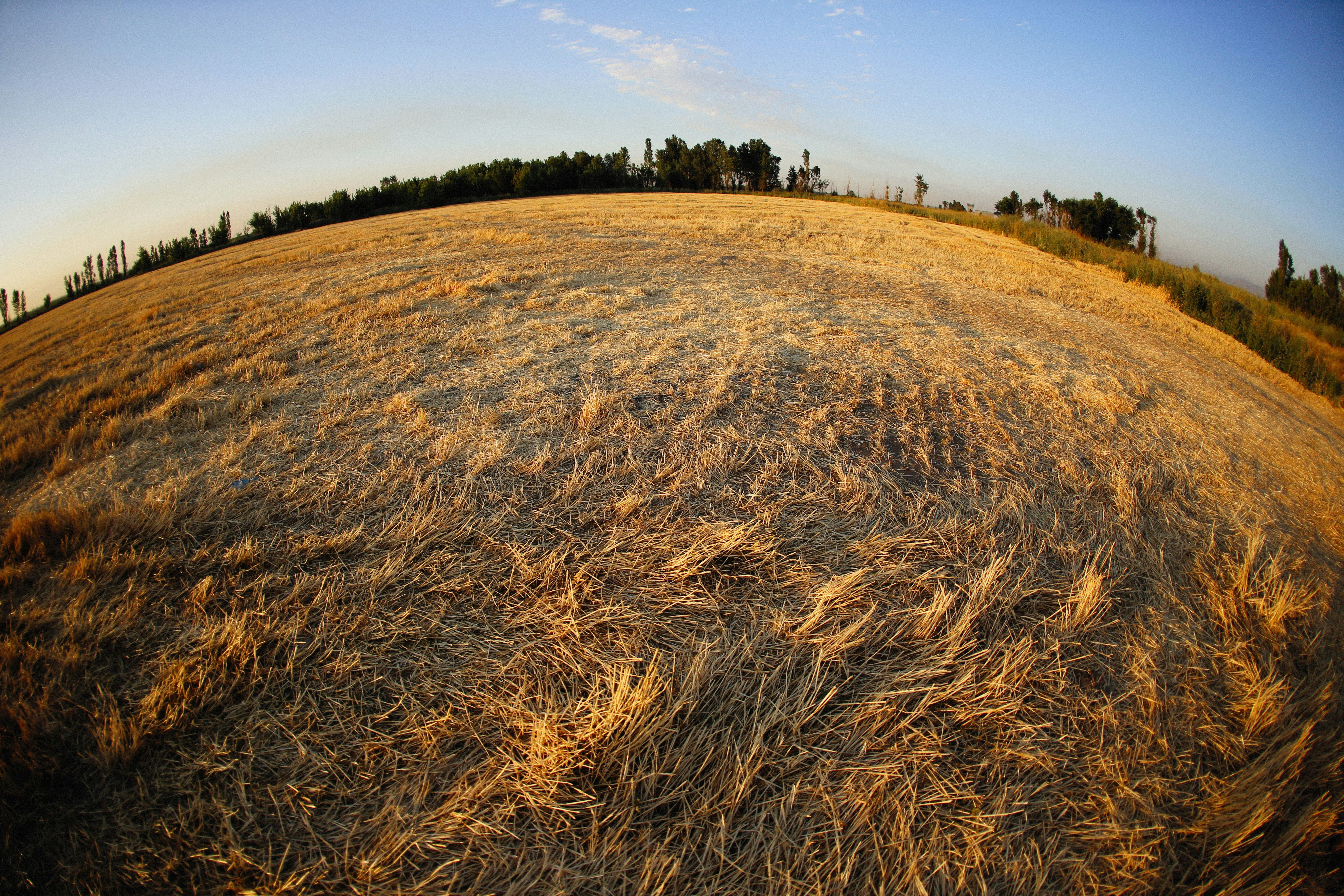 Photo by alexeydemidov