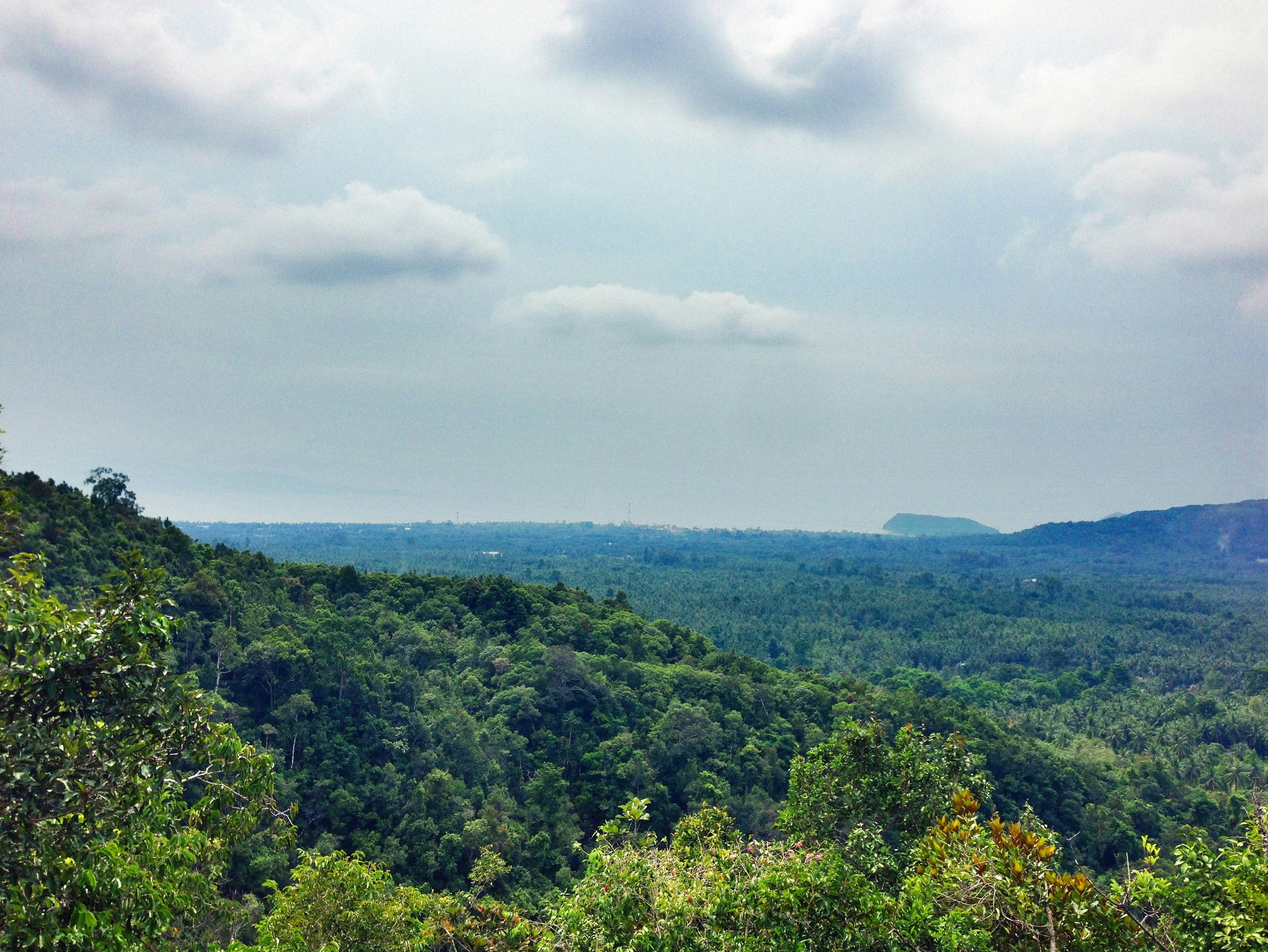 Photo by alexeydemidov