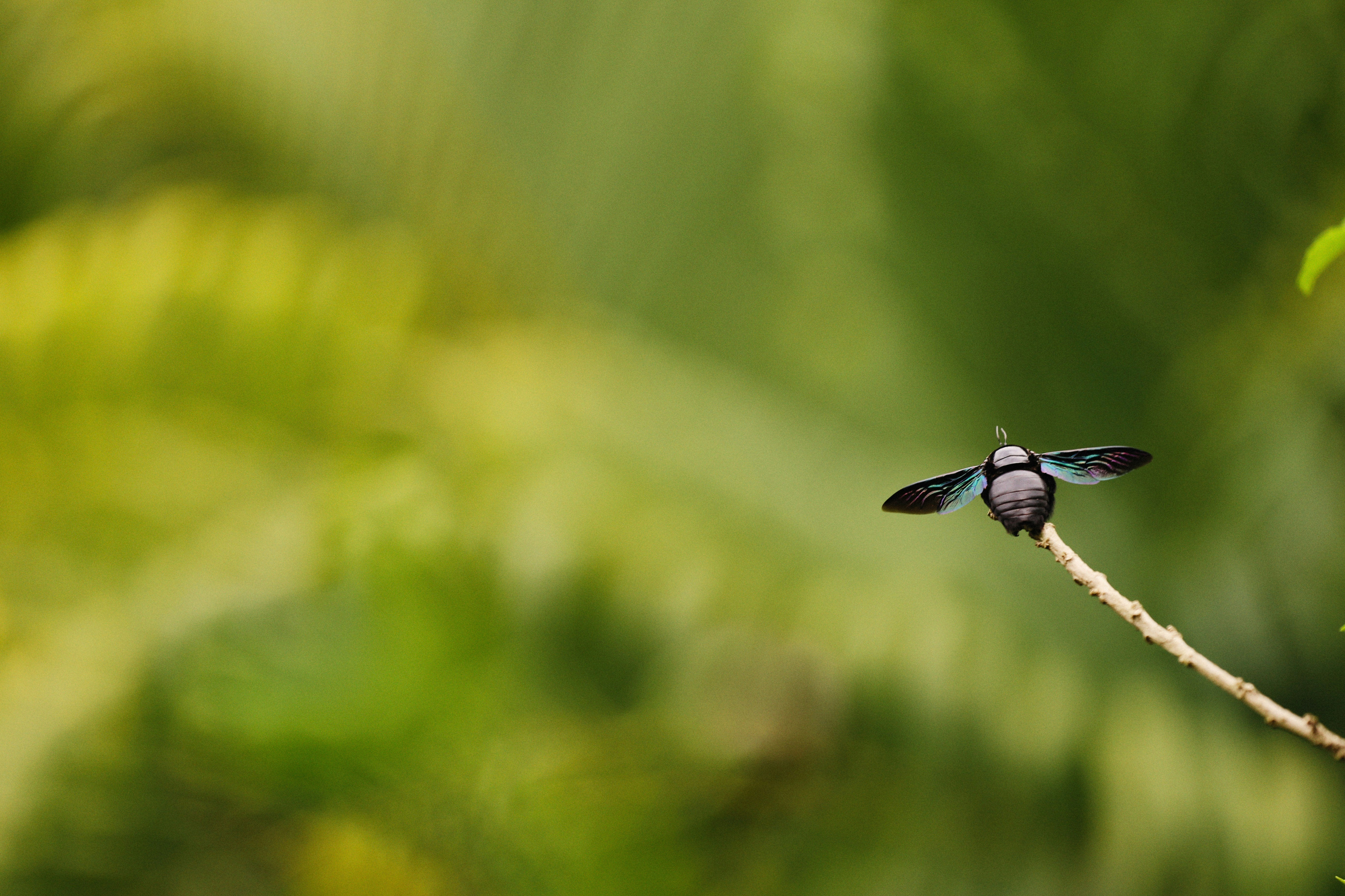 Photo by alexeydemidov