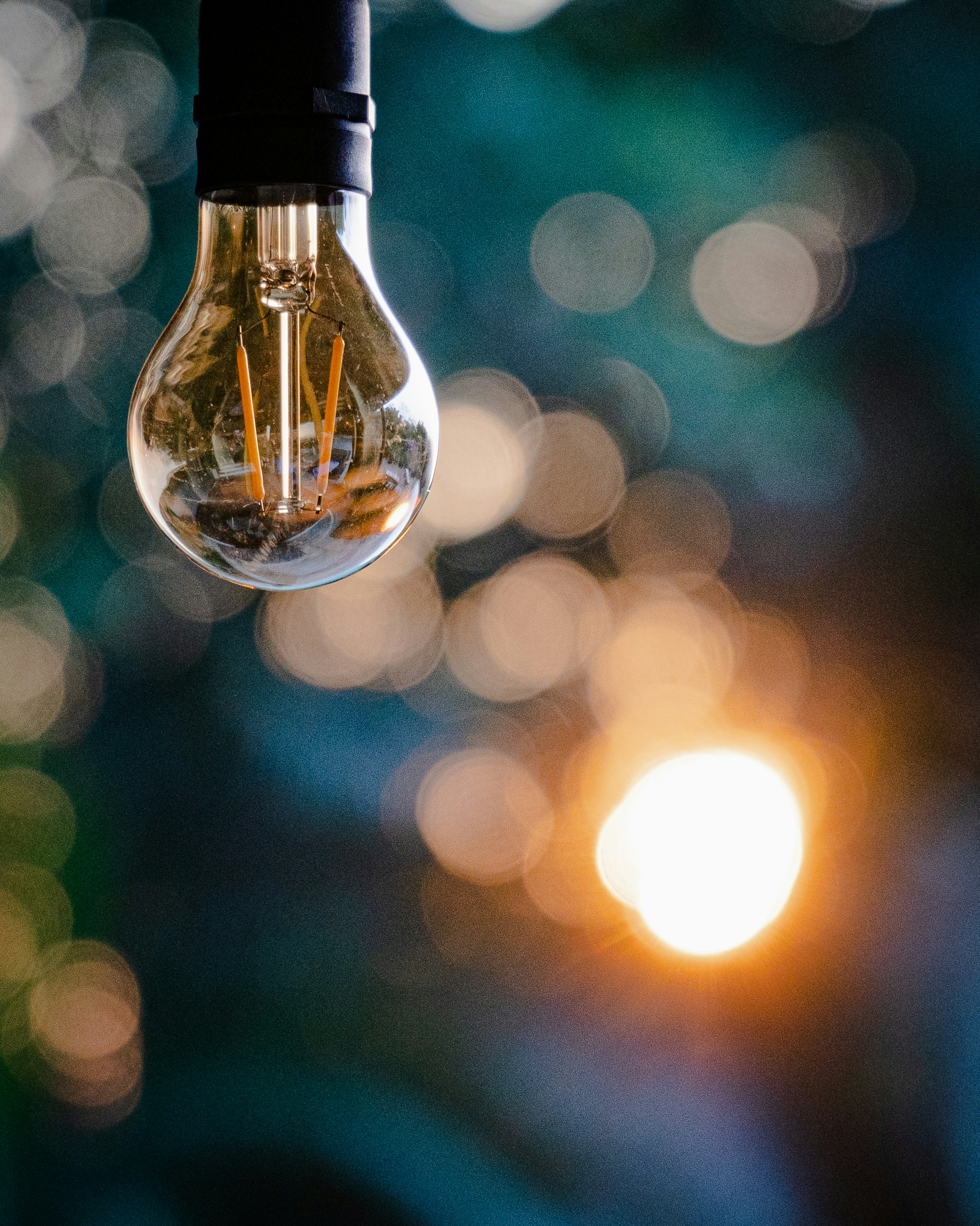 Photo by framesforyourheart