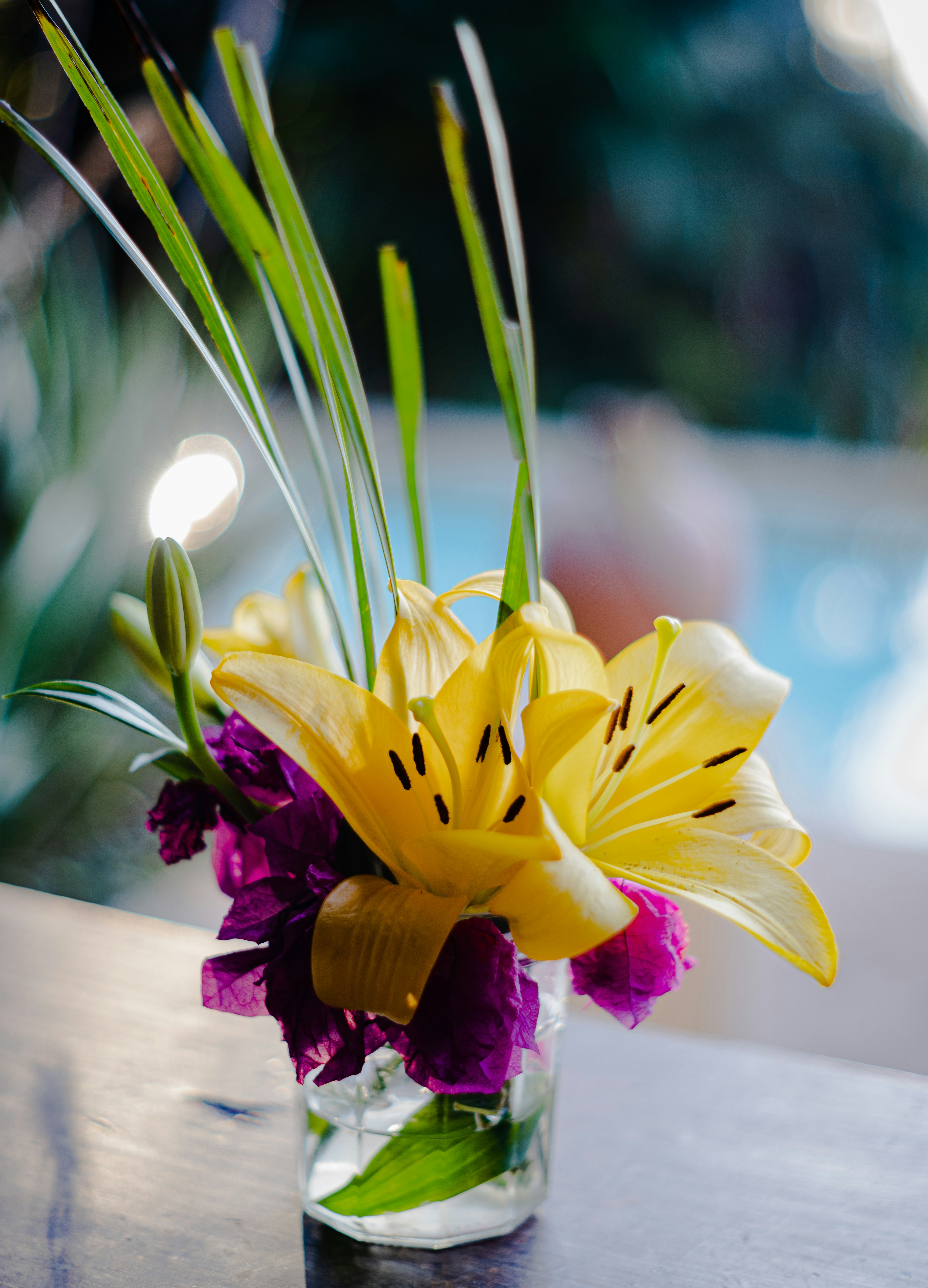 Photo by framesforyourheart