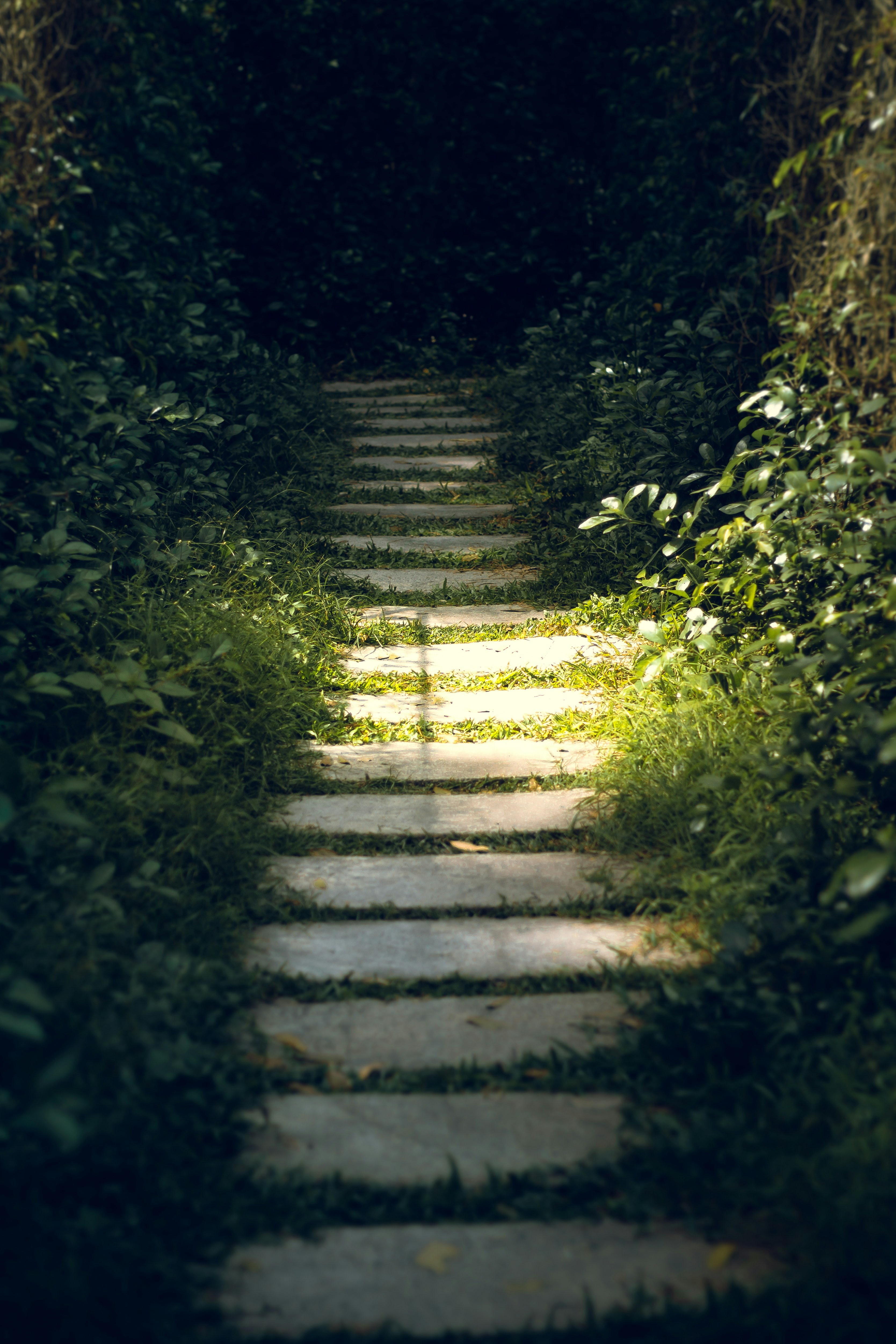 Photo by xiaowuuuuuuu