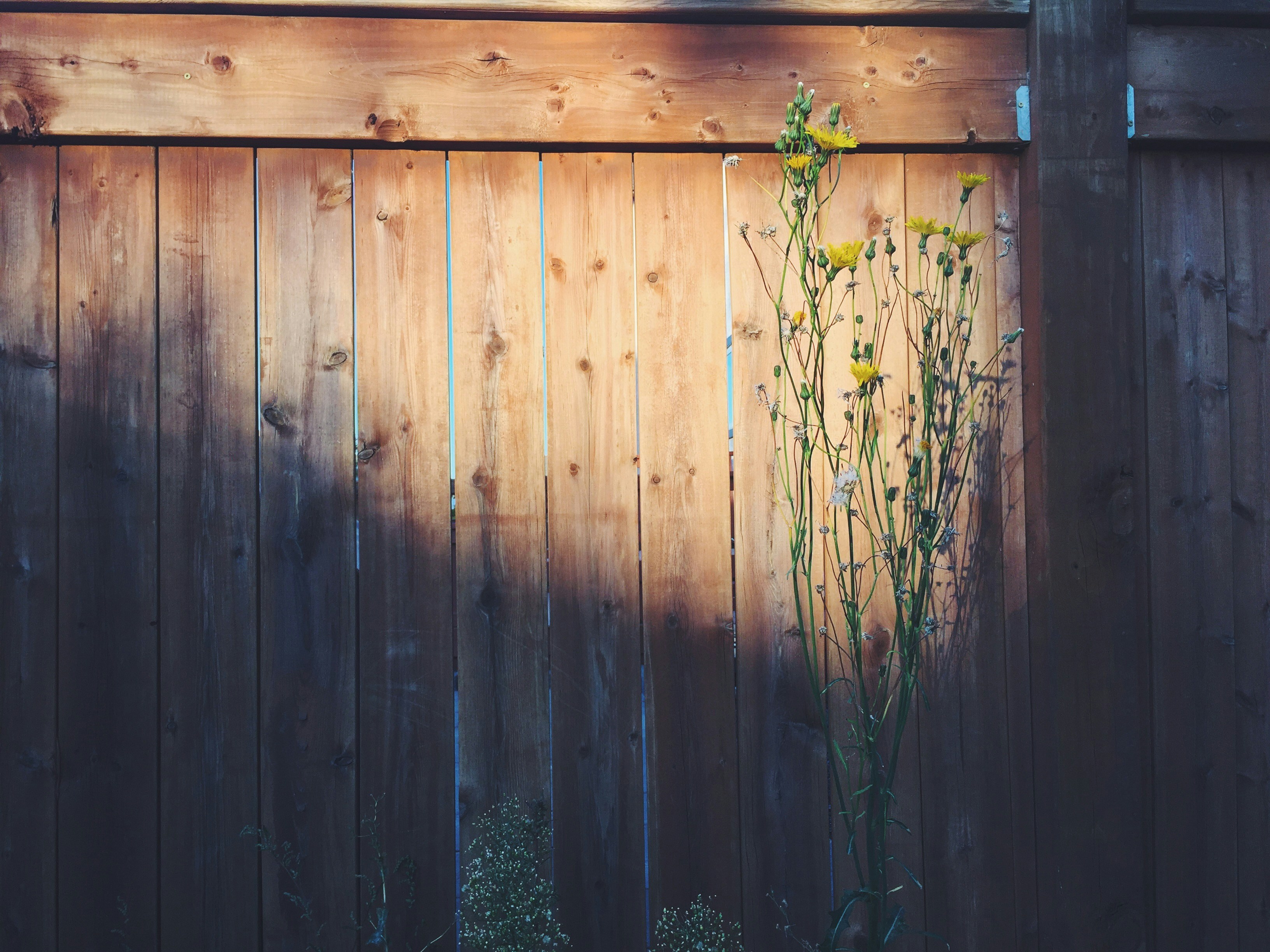 A wooden fence 