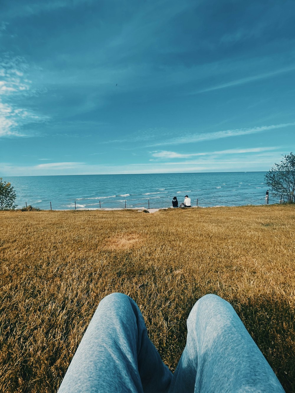 a person sitting in the grass near the ocean