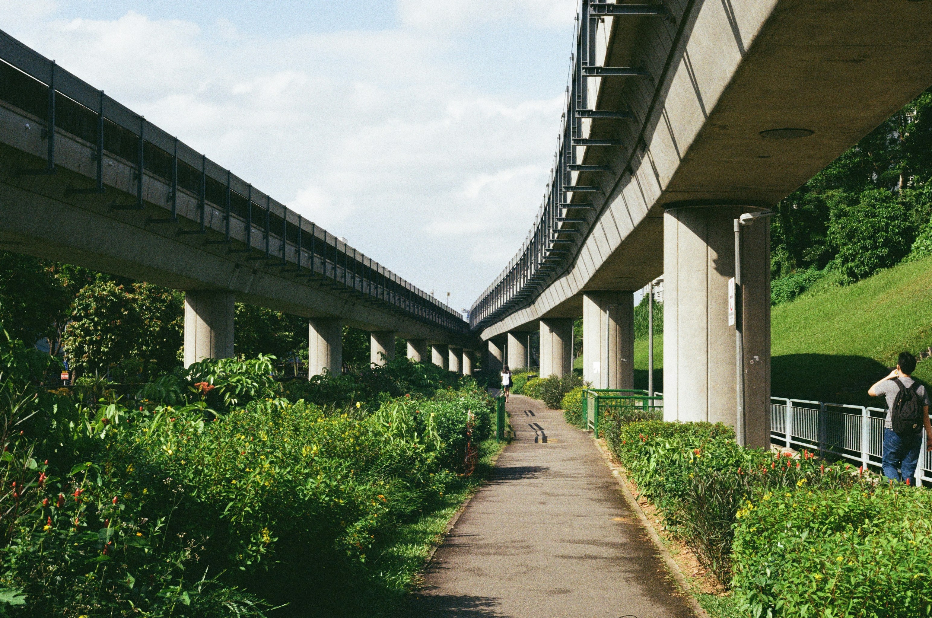 Photo by ga6rieltang