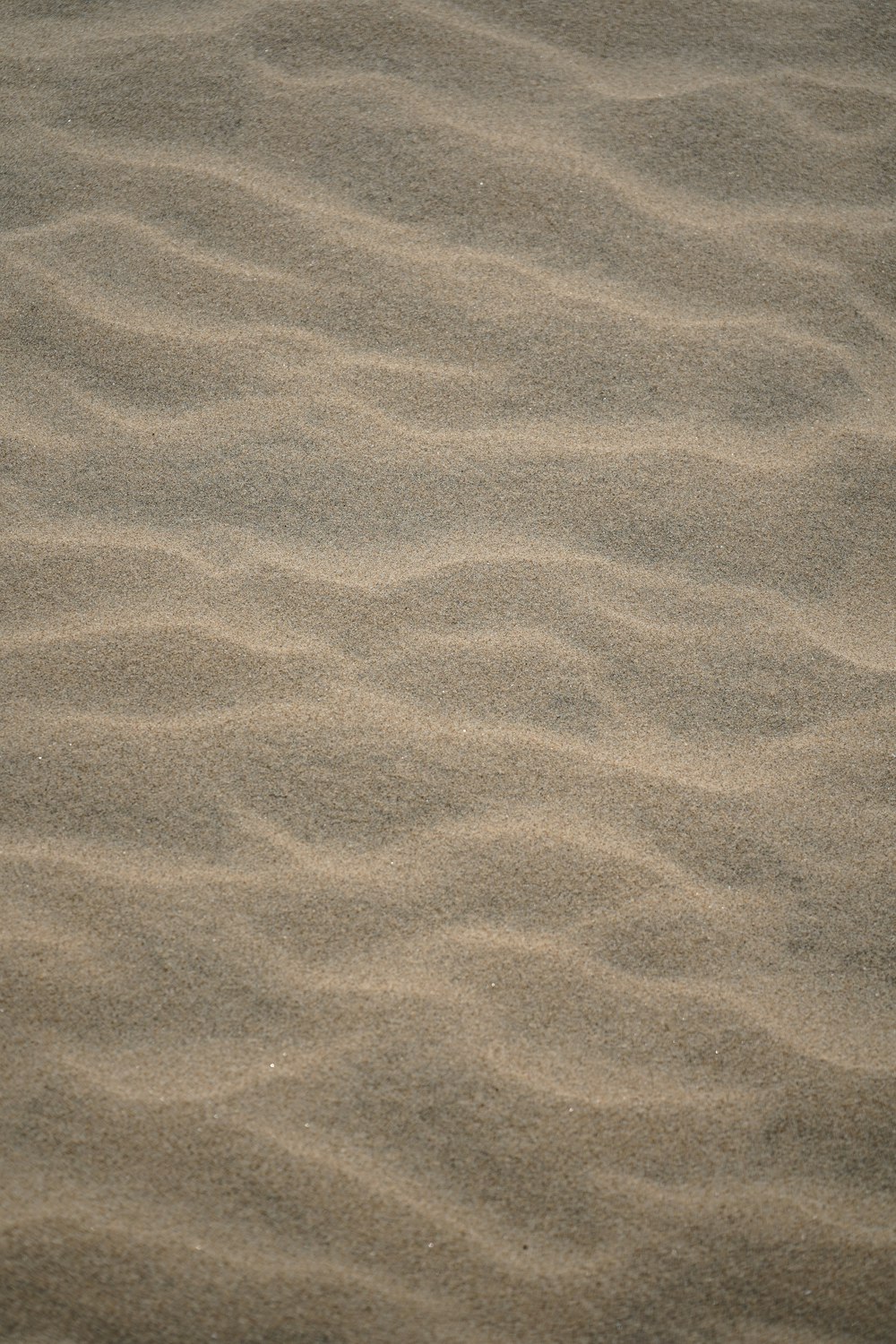 a sandy beach covered in lots of sand