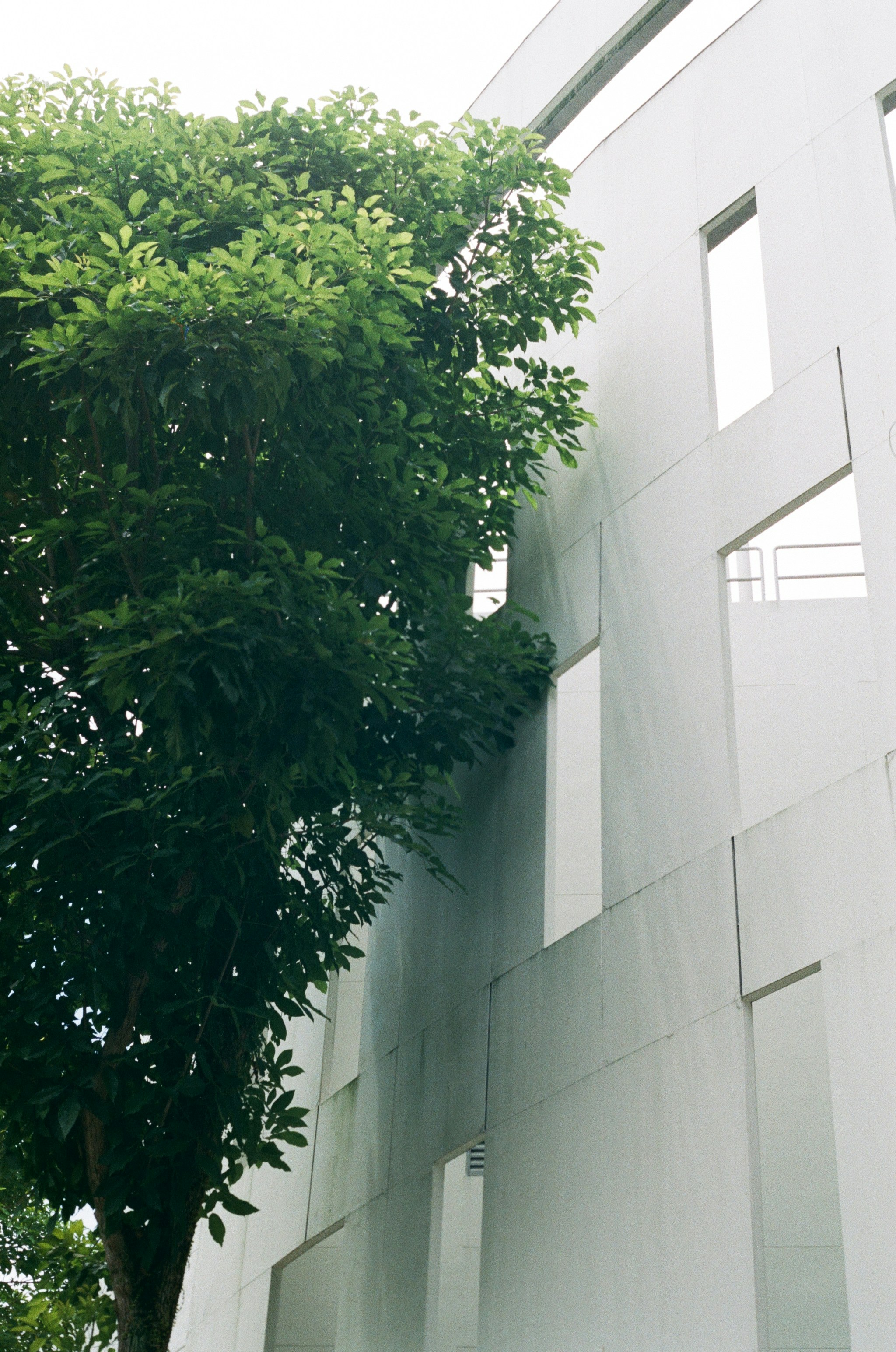 Photo by ga6rieltang