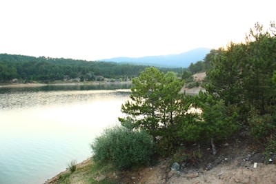 A serene landscape with soft morning light over a calm lake surrounded by gentle hills.