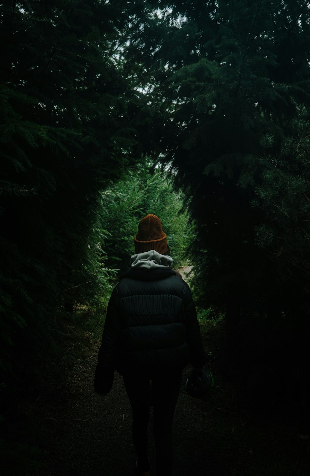 a person walking down a path in the woods