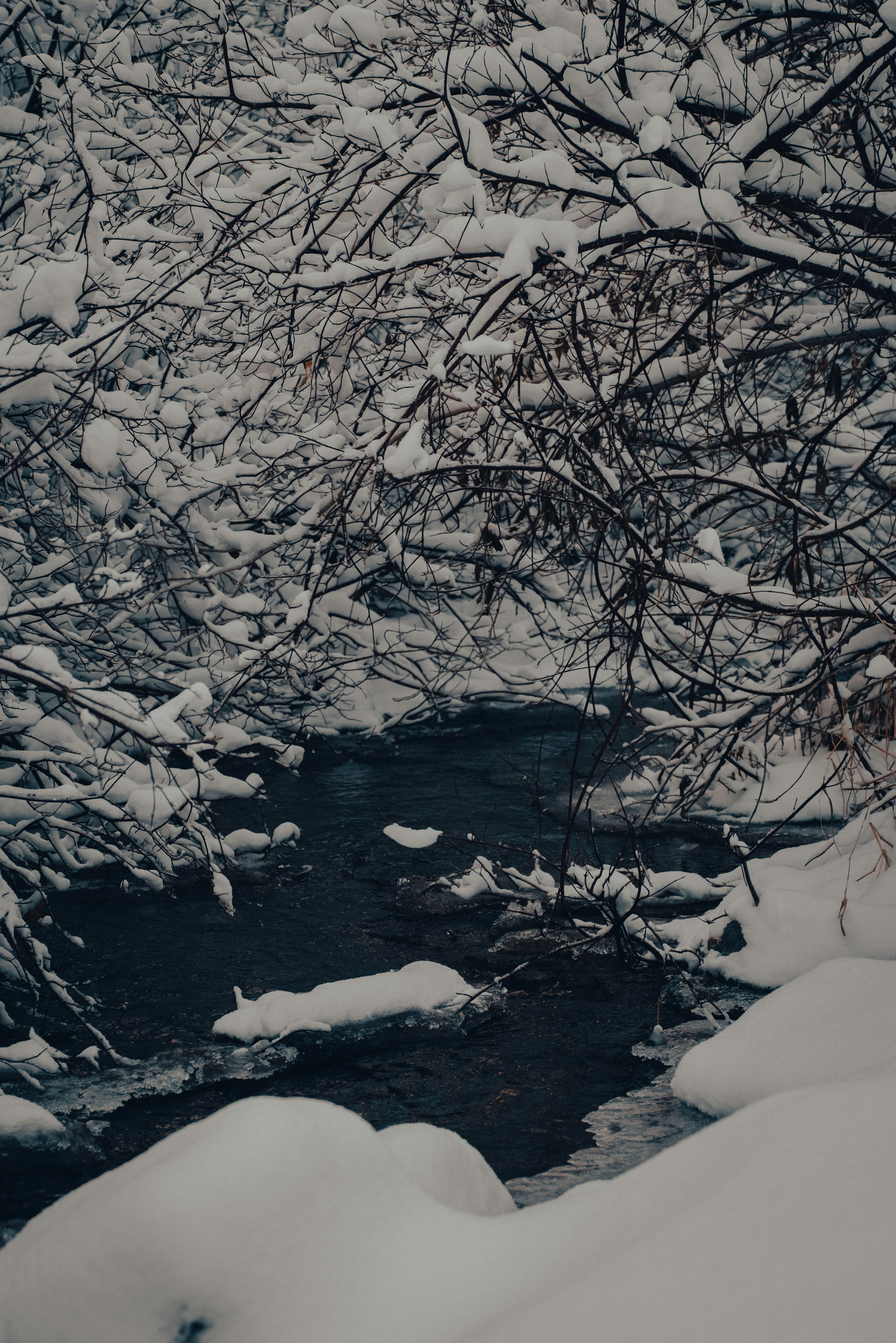 Photo by kalaniparker