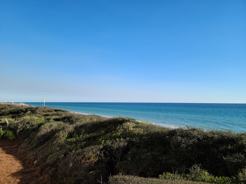 a dirt path leading to the ocean on a sunny day