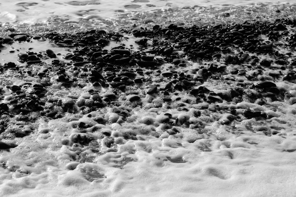 a black and white photo of water and rocks