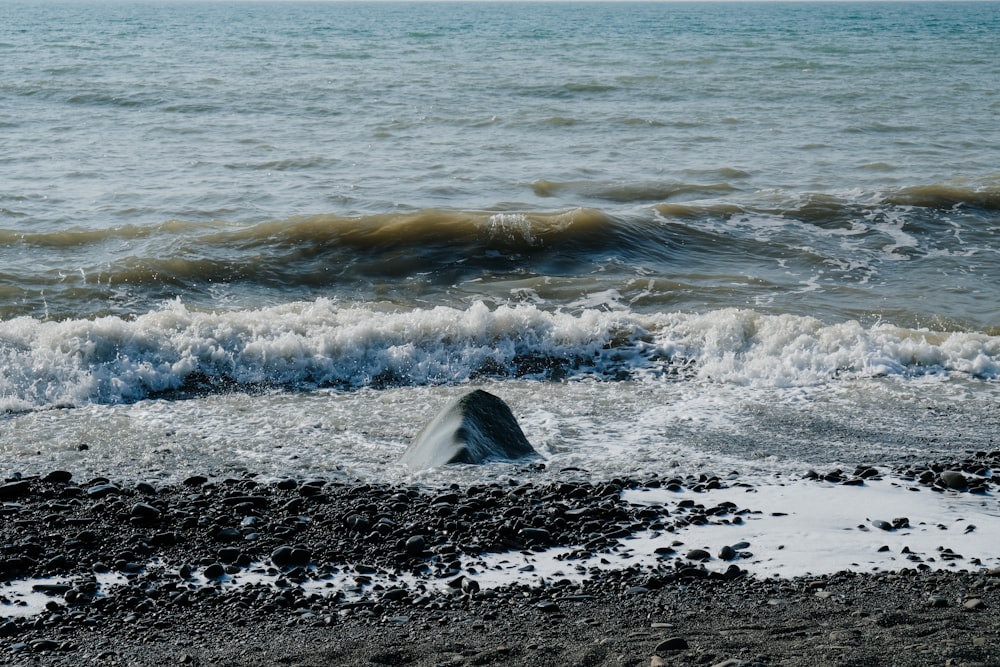 a rock sticking out of the water on a beach