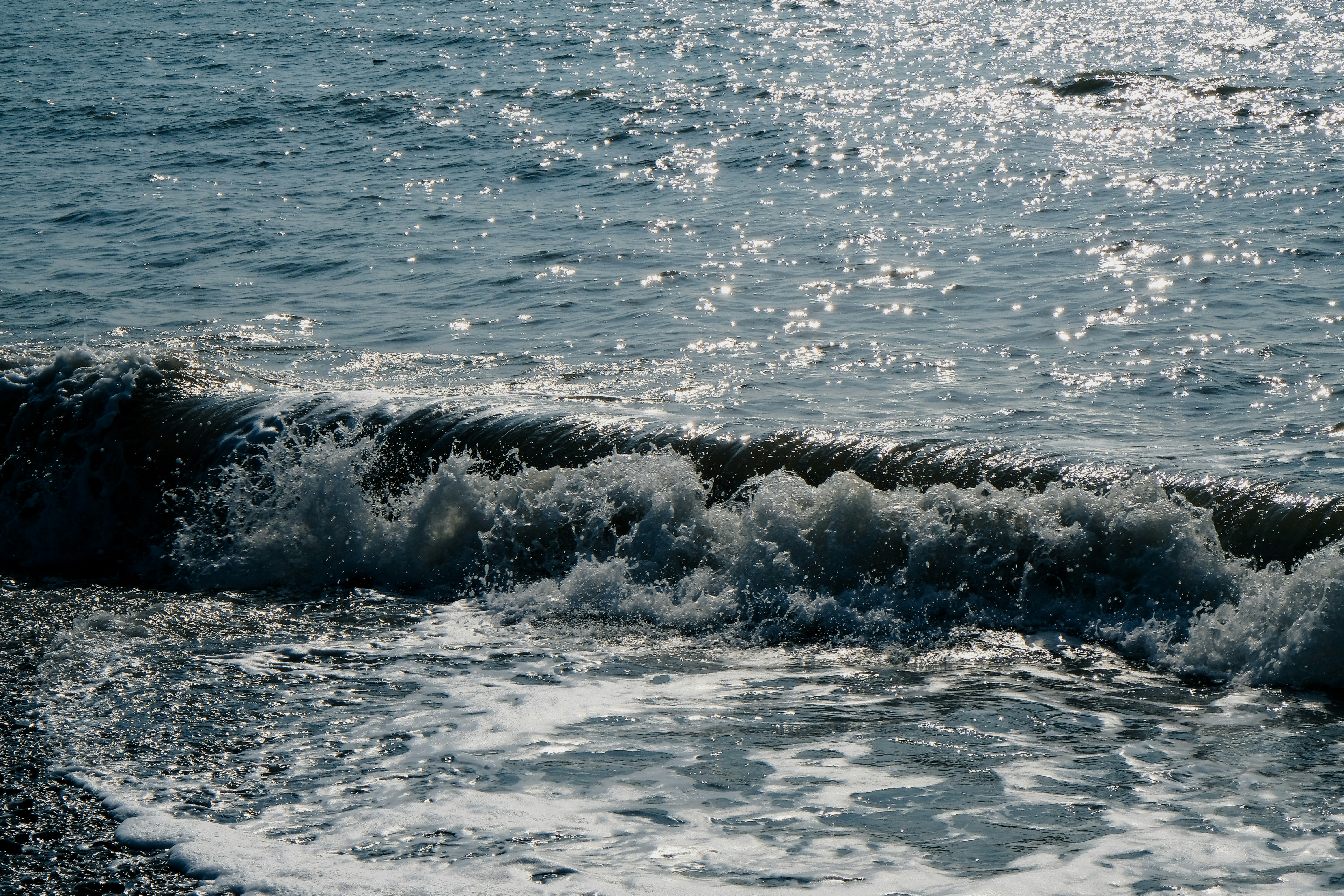 Photo by yangchihshih