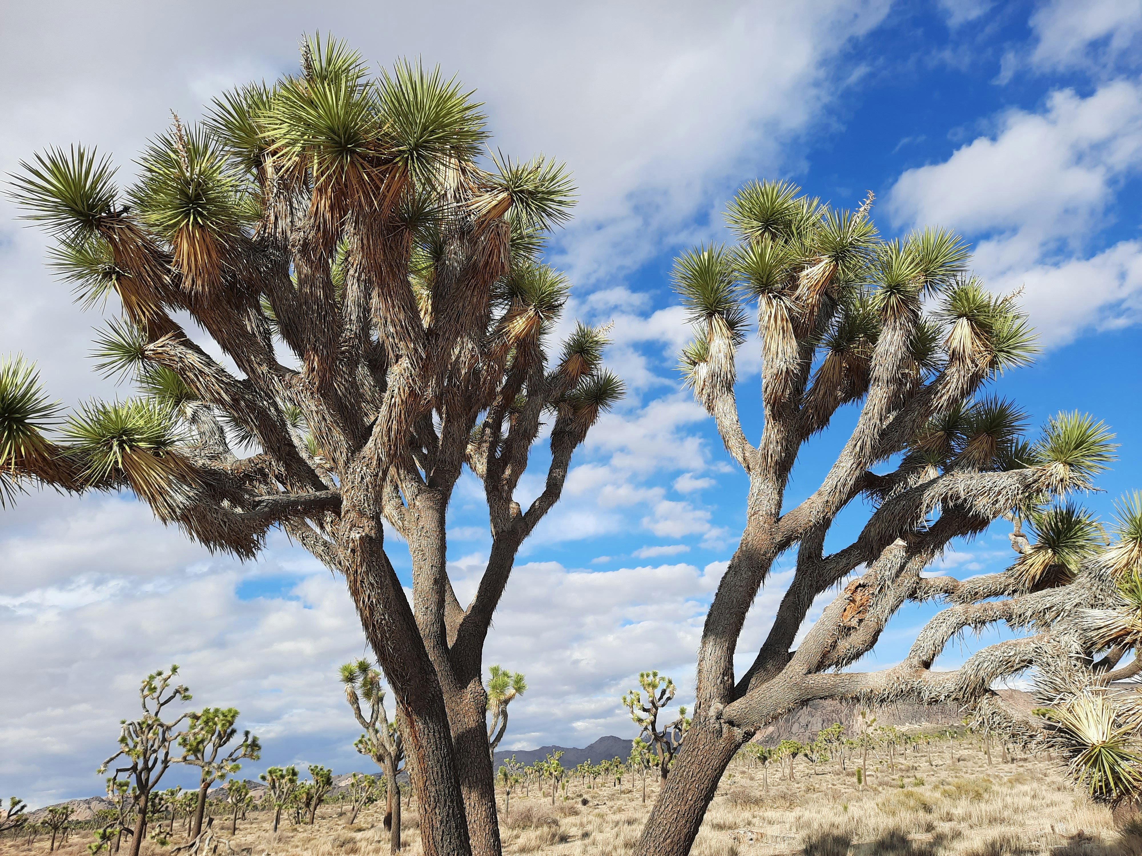 Photo by happy_duckling