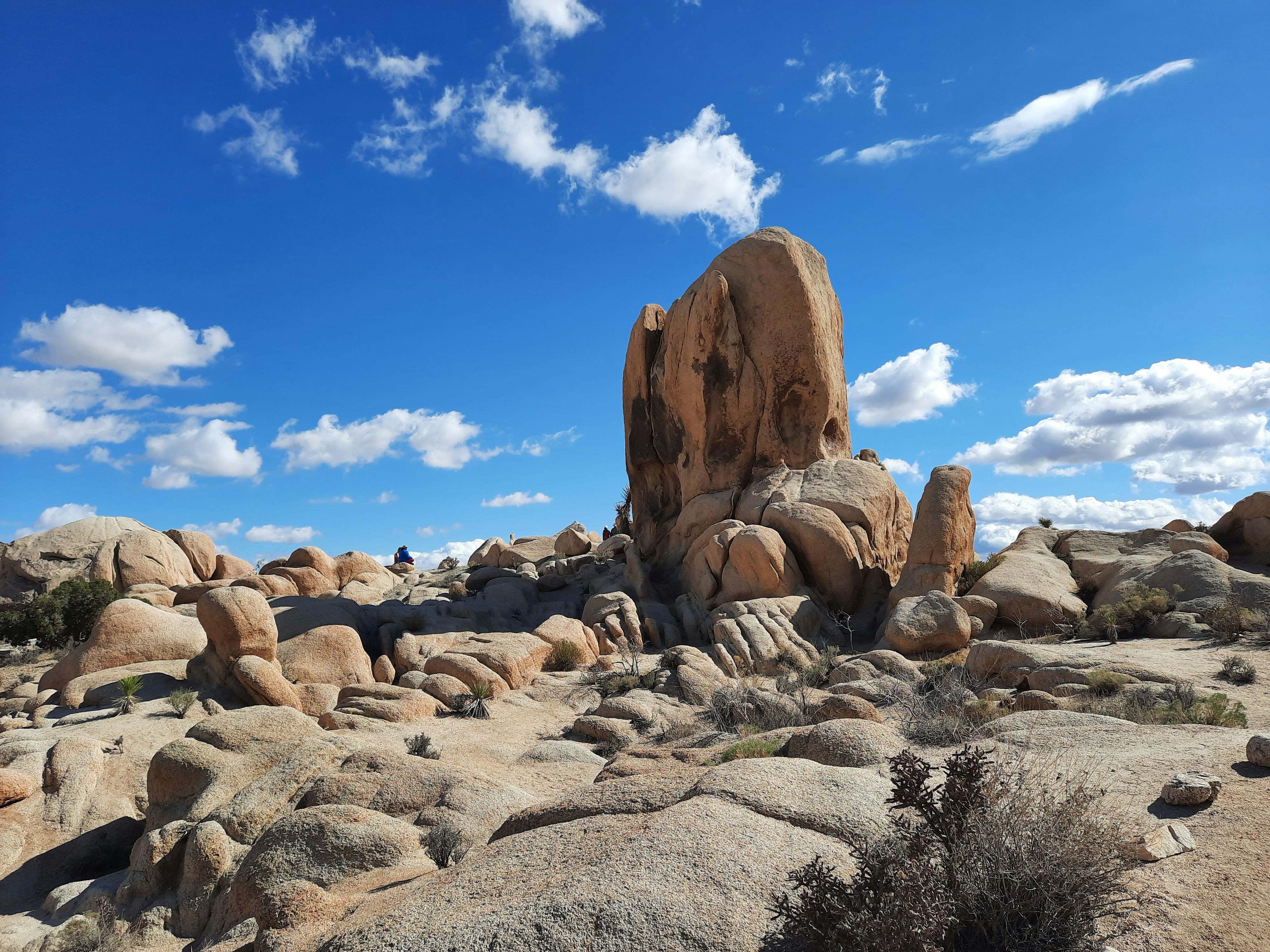 Photo by happy_duckling