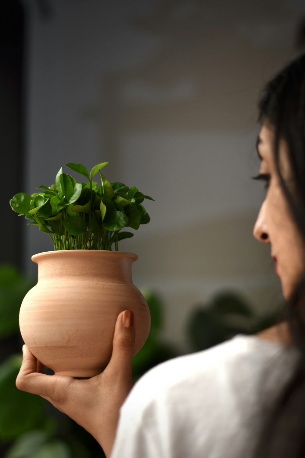 a woman holding a pot with a plant in it