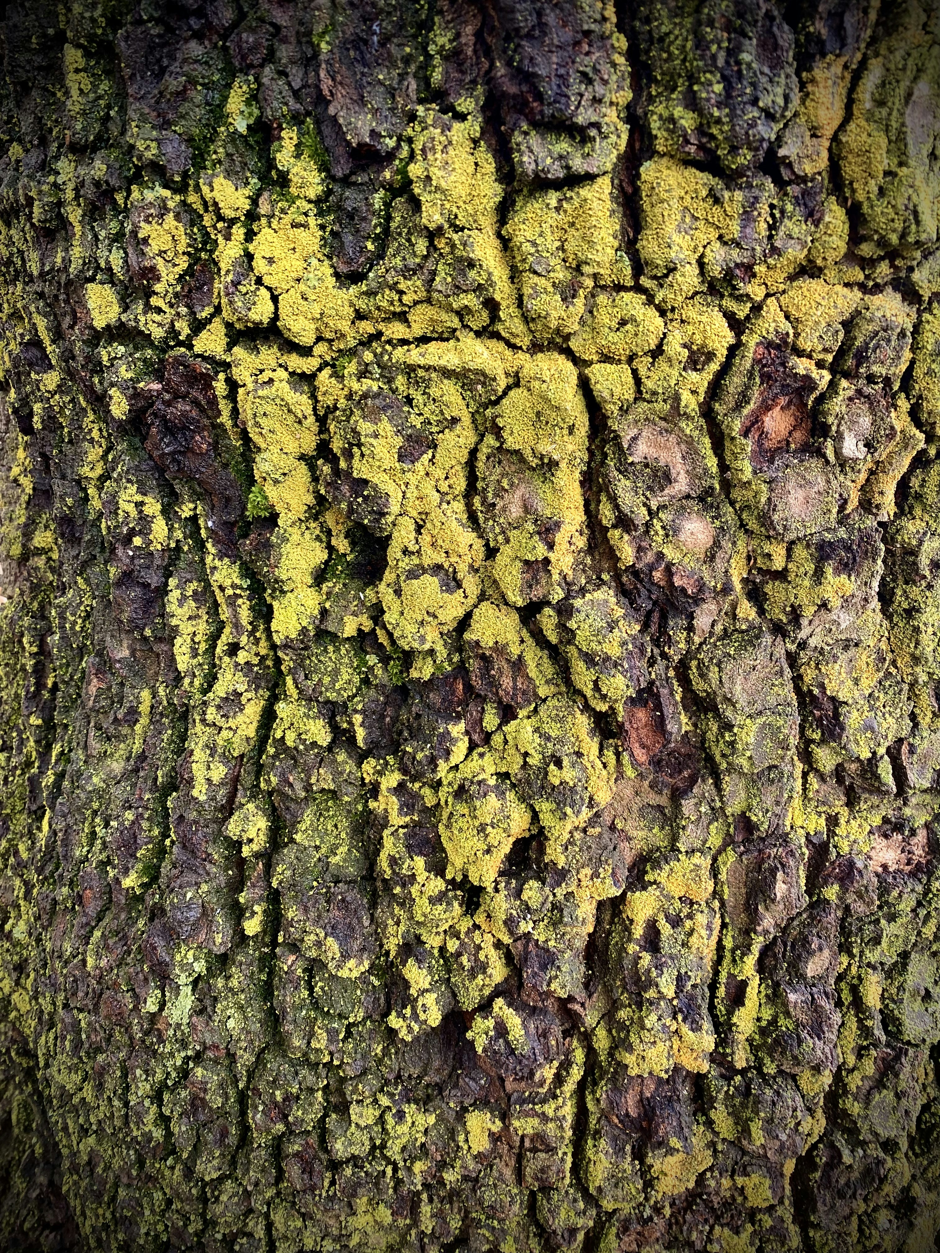 Photo by ay_baroogh7