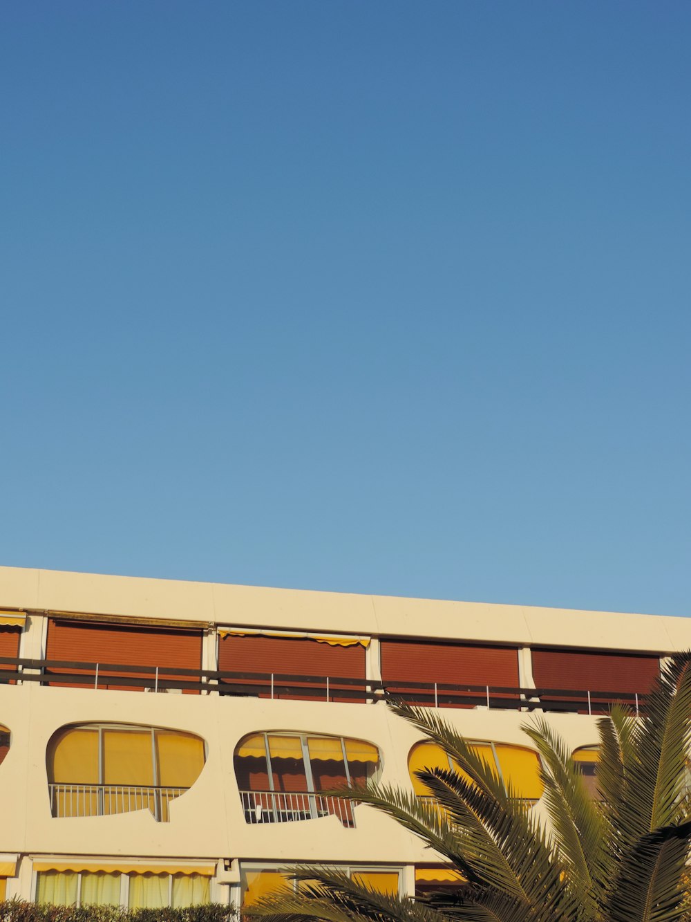 a building with a palm tree in front of it