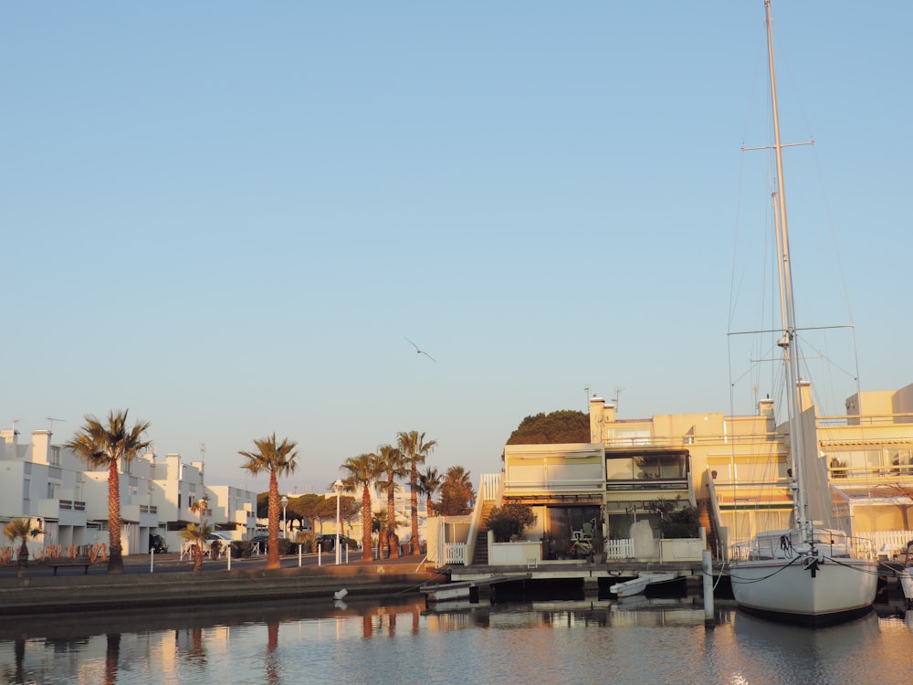 a sailboat docked at a marina with palm trees in the background