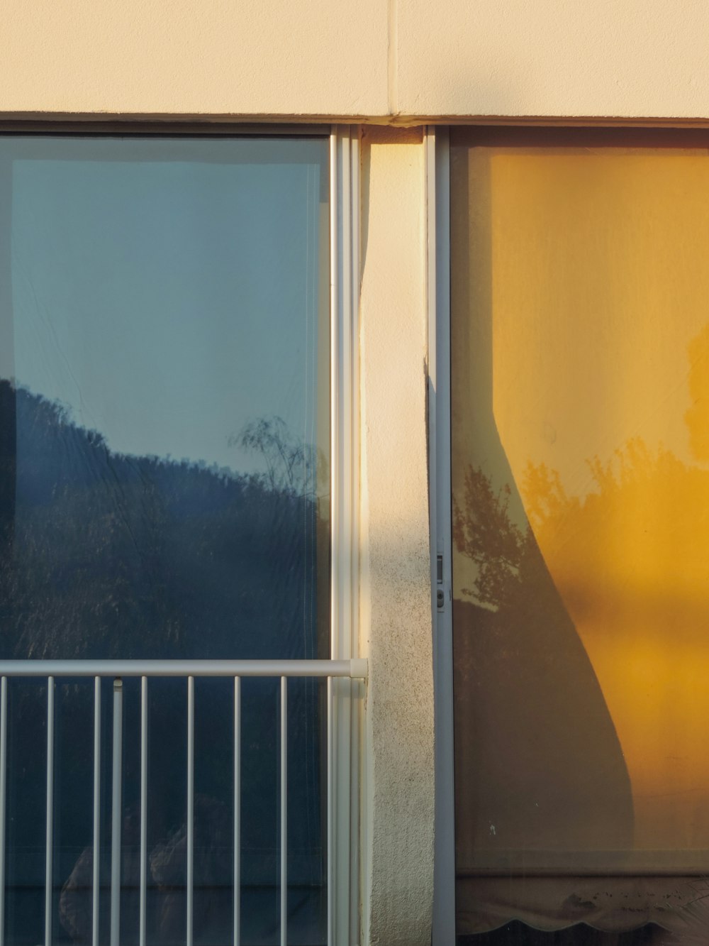 the reflection of a tree in the window of a building