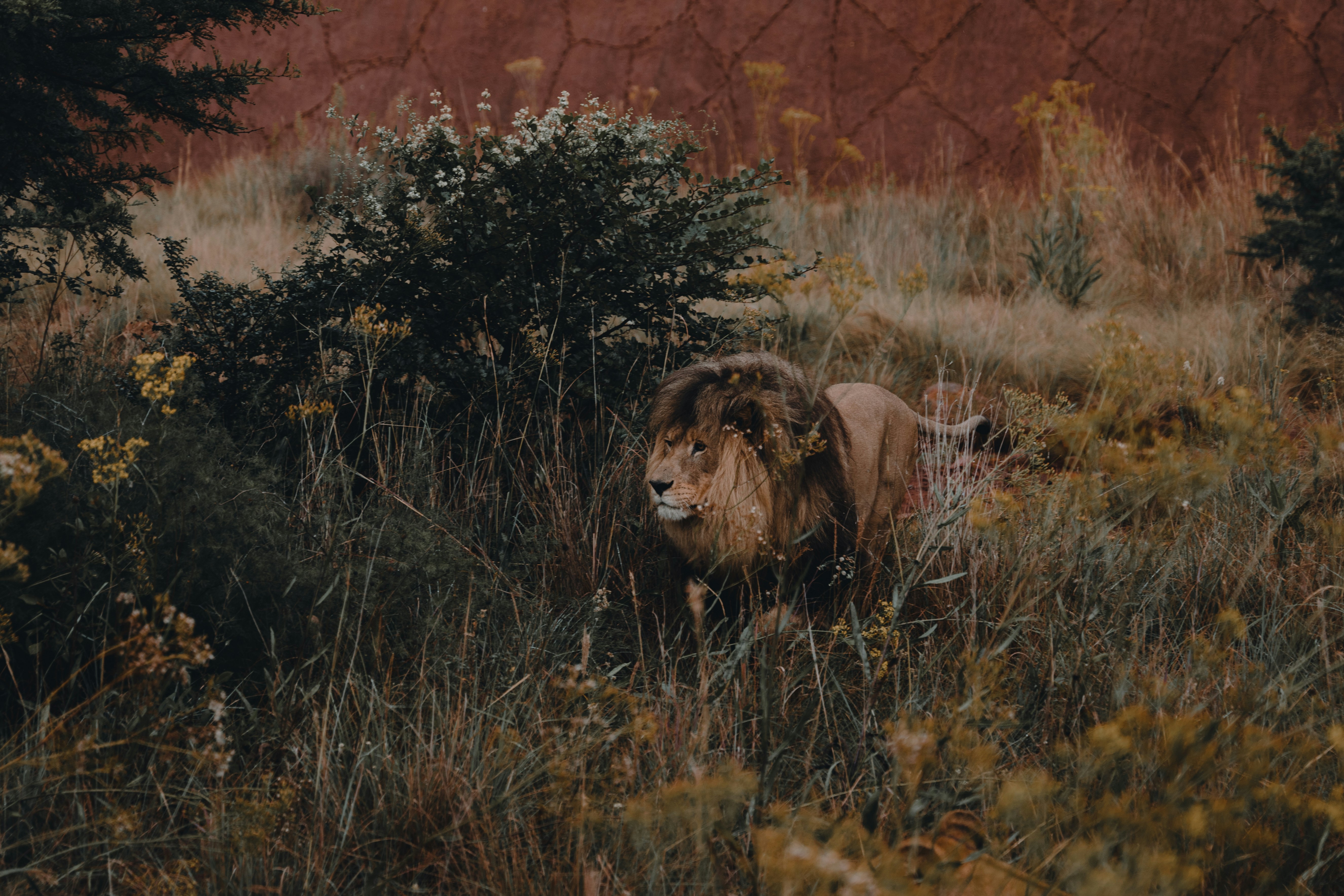 A day on safari