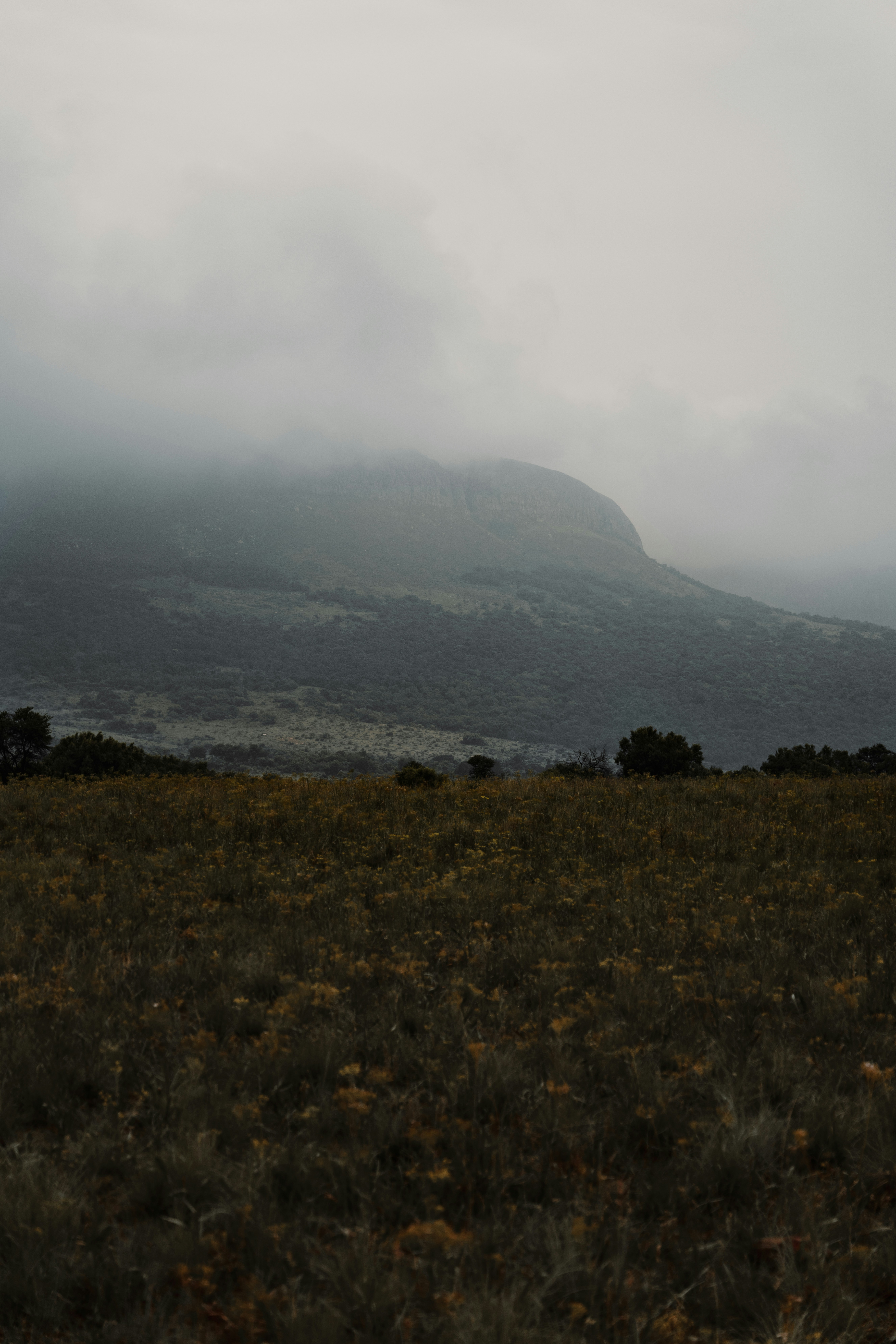 Photo by matias_north