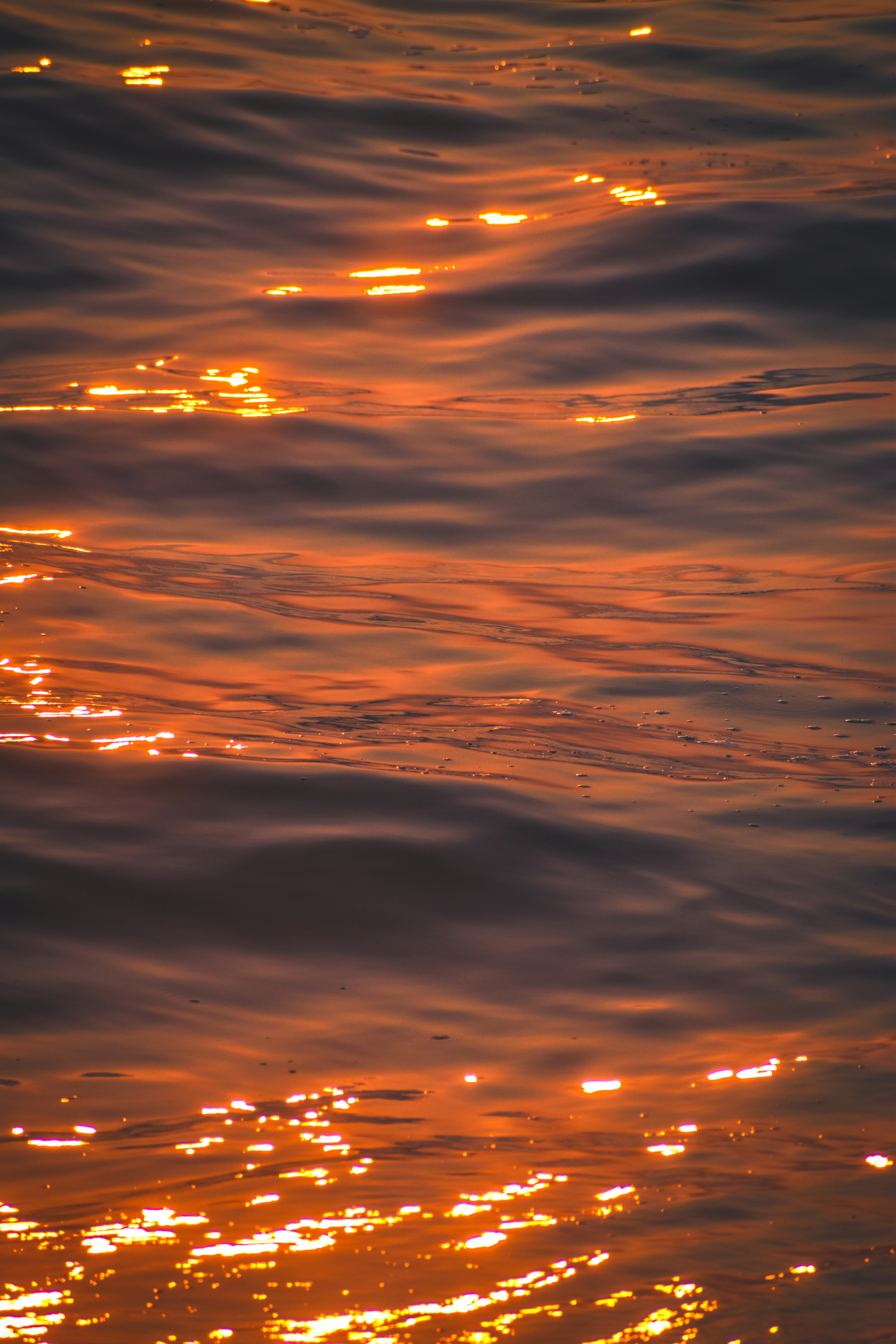 Photo by navi_photography