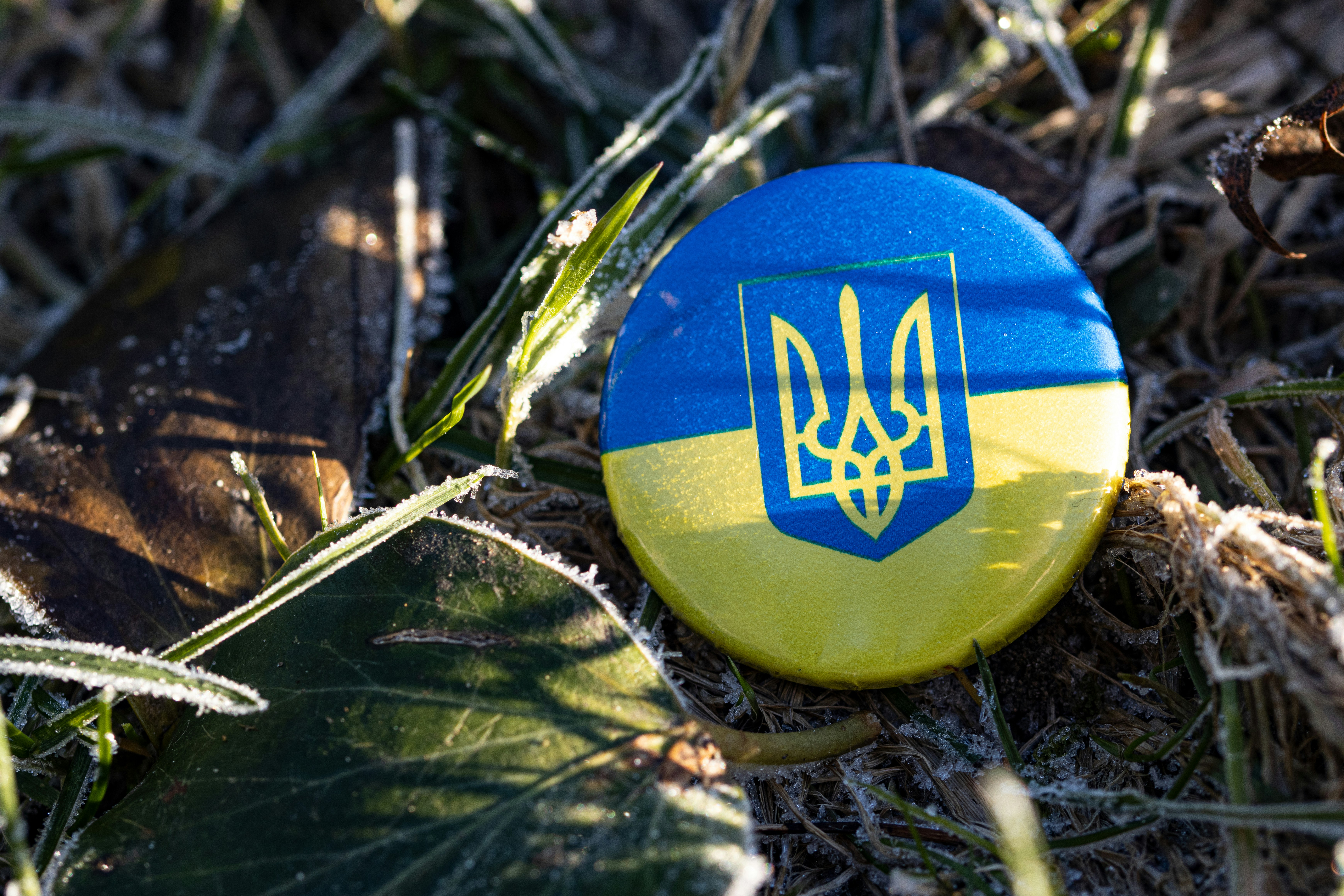 a blue and yellow frisbee laying on the ground