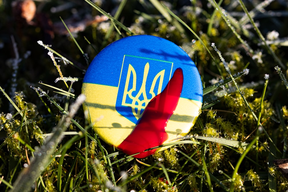 a close up of a frisbee in the grass
