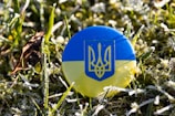 A Ukrainian badge with the national emblem is placed on grass, which is covered with frost. The badge prominently displays blue and yellow colors, symbolizing the Ukrainian flag. The morning light highlights the frosty texture on the blades of grass, creating a crisp and fresh atmosphere.