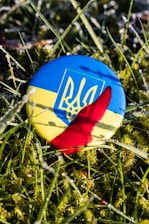 A round badge displaying the Ukrainian flag and coat of arms lies on grass, partially covered by a splash of red liquid. The grass appears frosty or dewy, creating a textured background with small droplets.