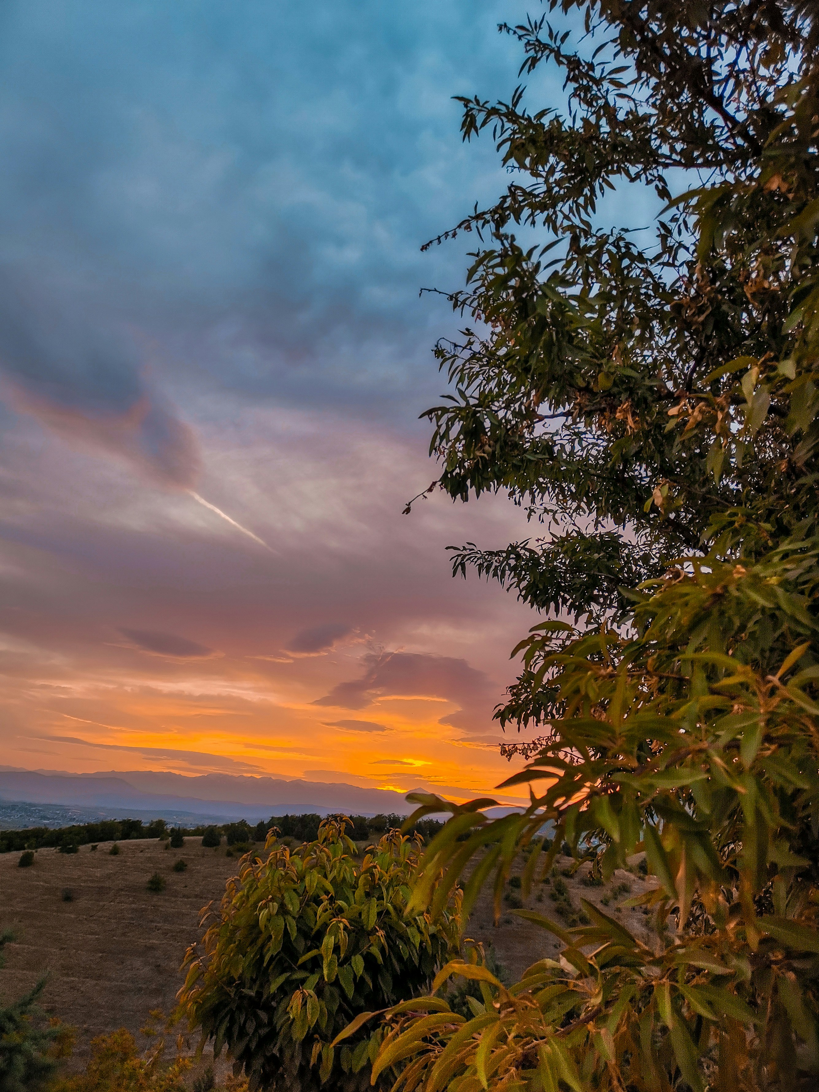 Photo by darijaginger