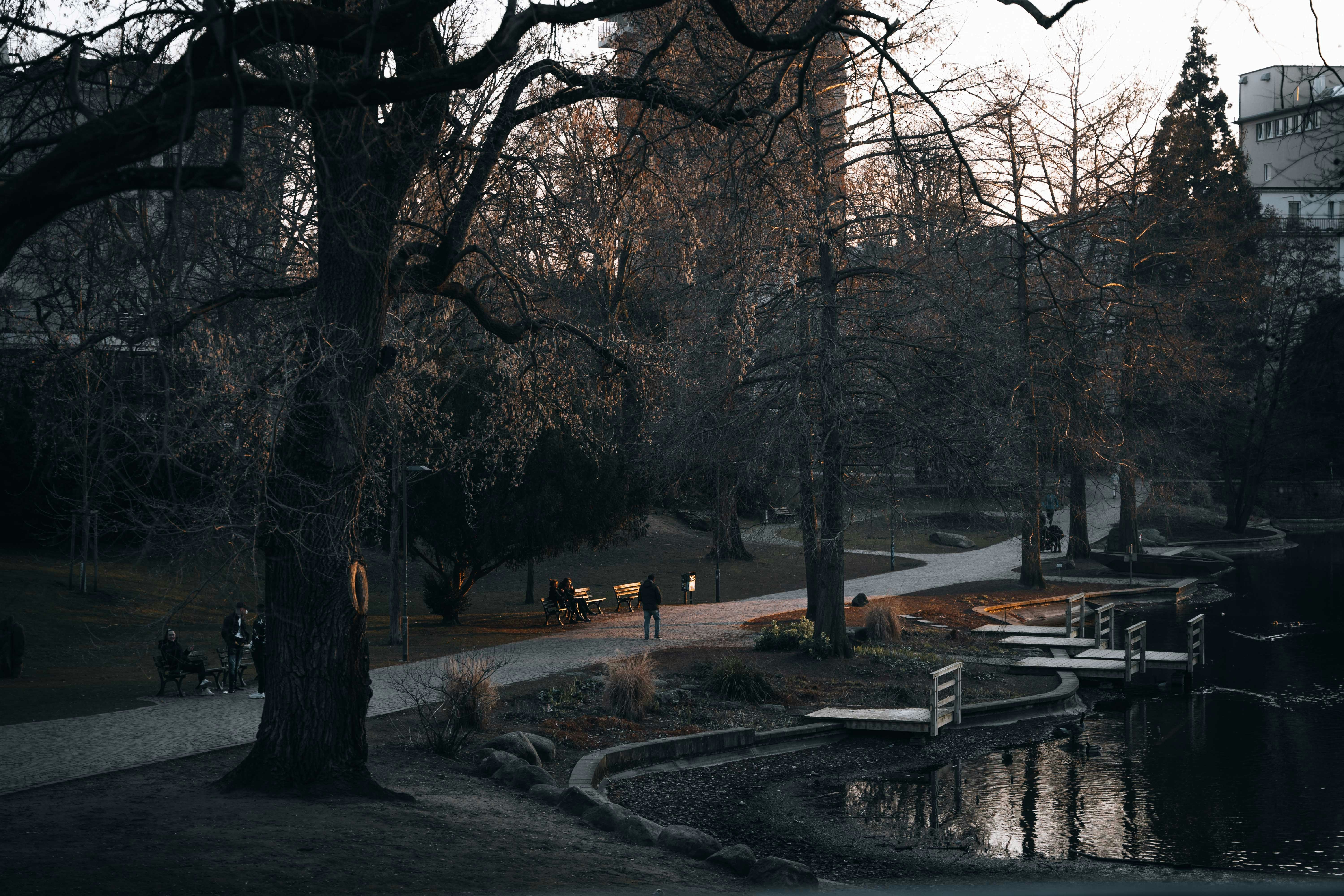 Photo by masoodaslami