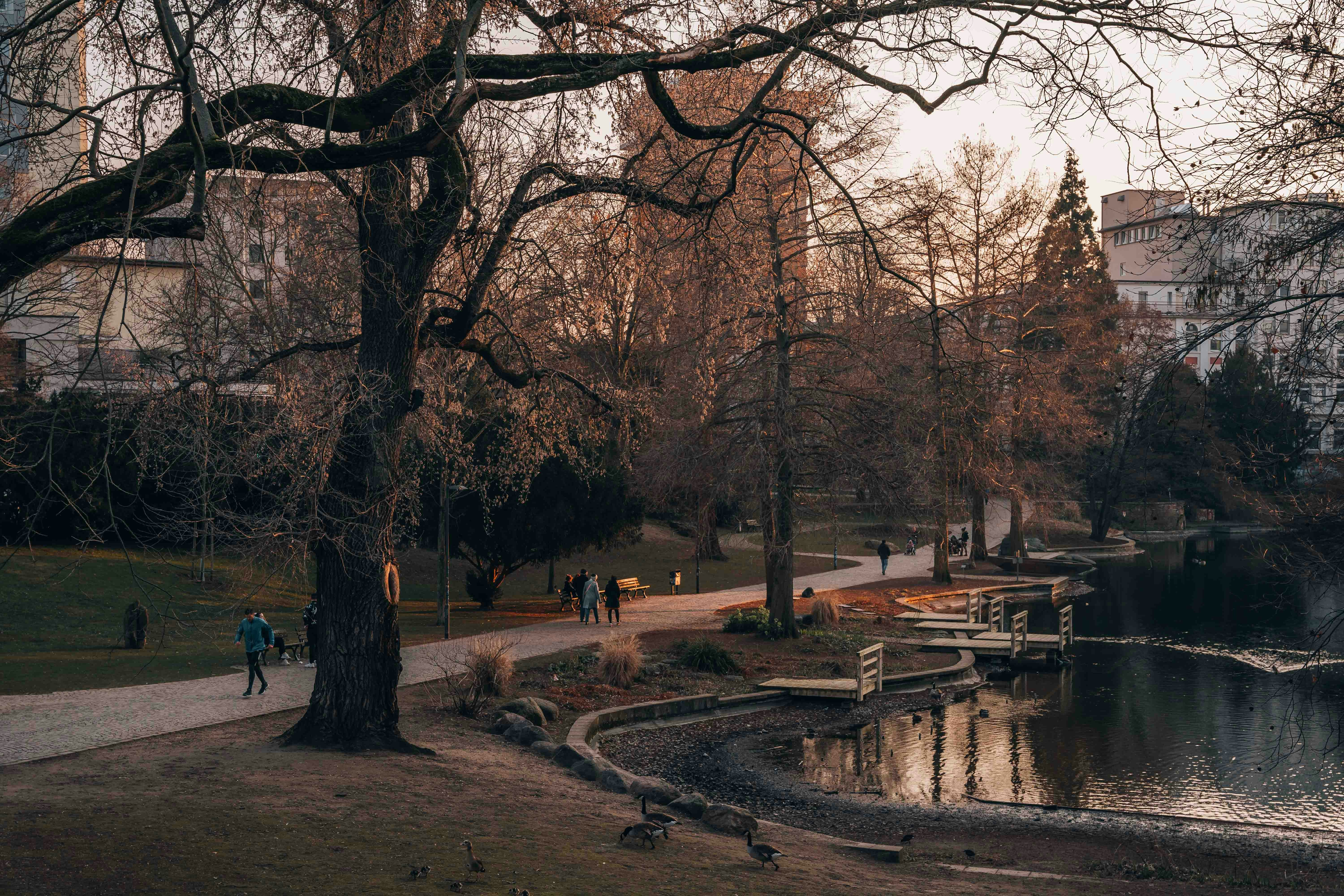 Photo by masoodaslami