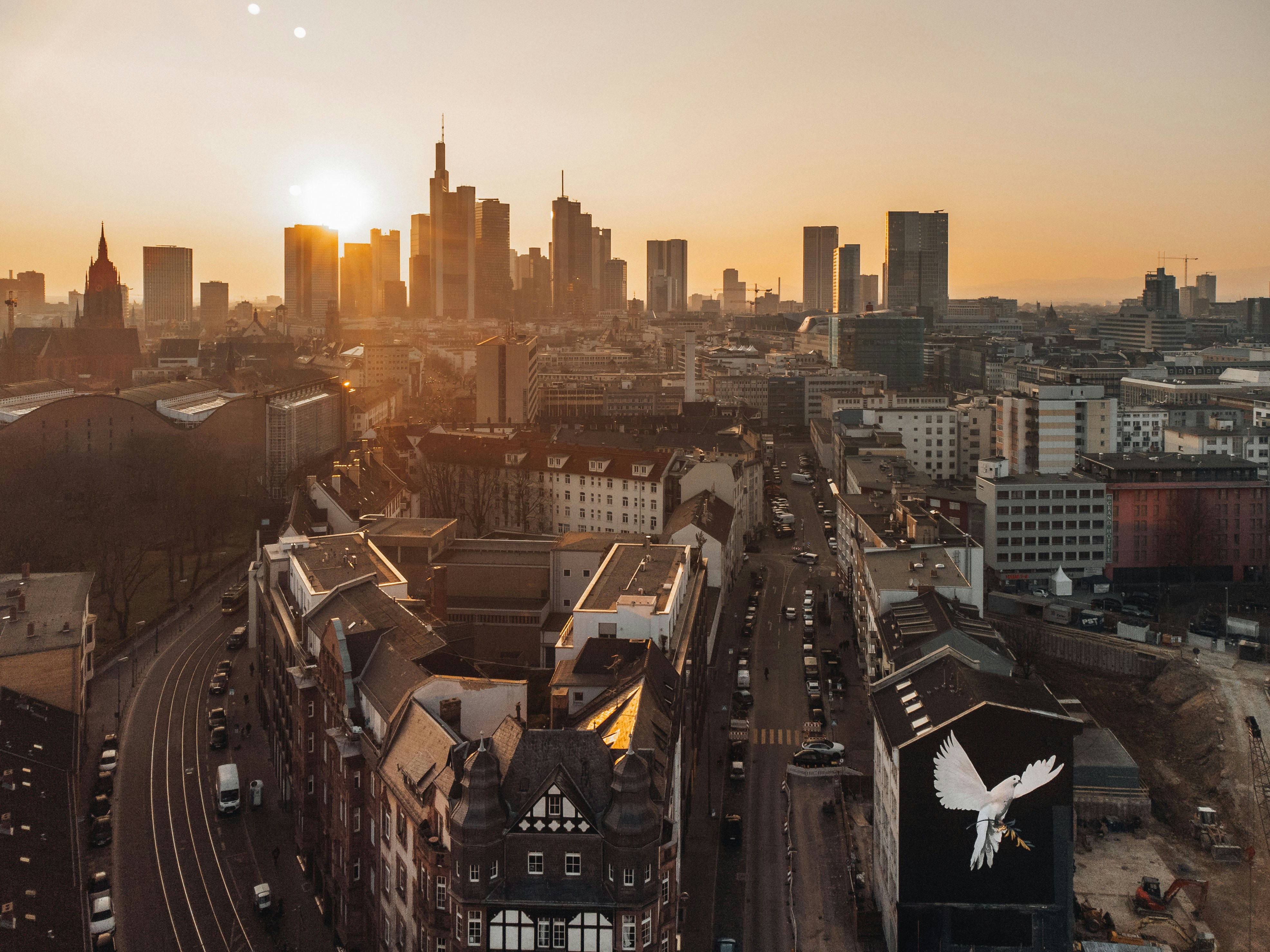 Photo by masoodaslami