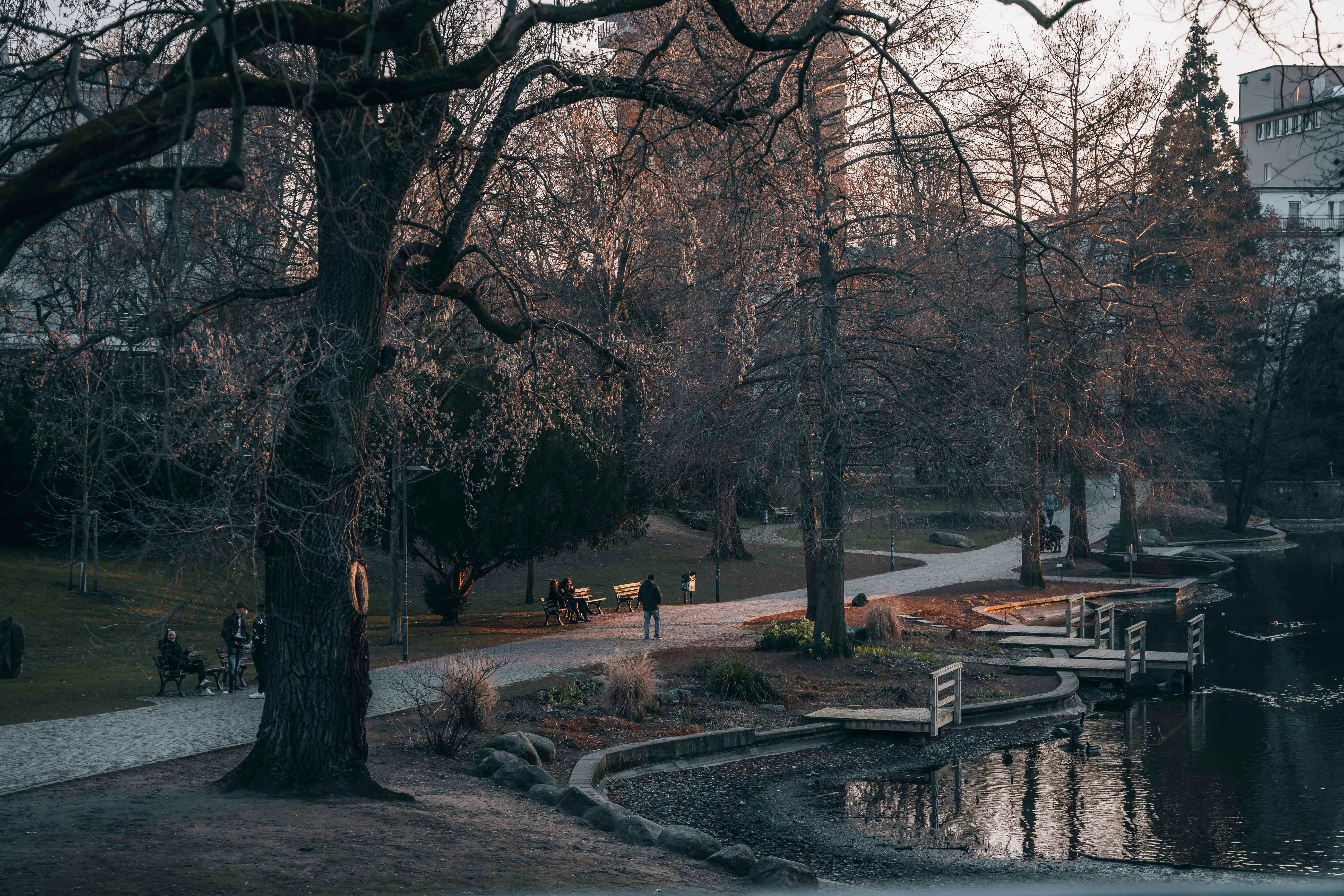 Photo by masoodaslami