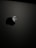 A sleek, minimalist design featuring a prominent, glossy apple logo against a matte dark background. The logo has a distinctive bite mark and is illuminated softly, creating a subtle reflection.