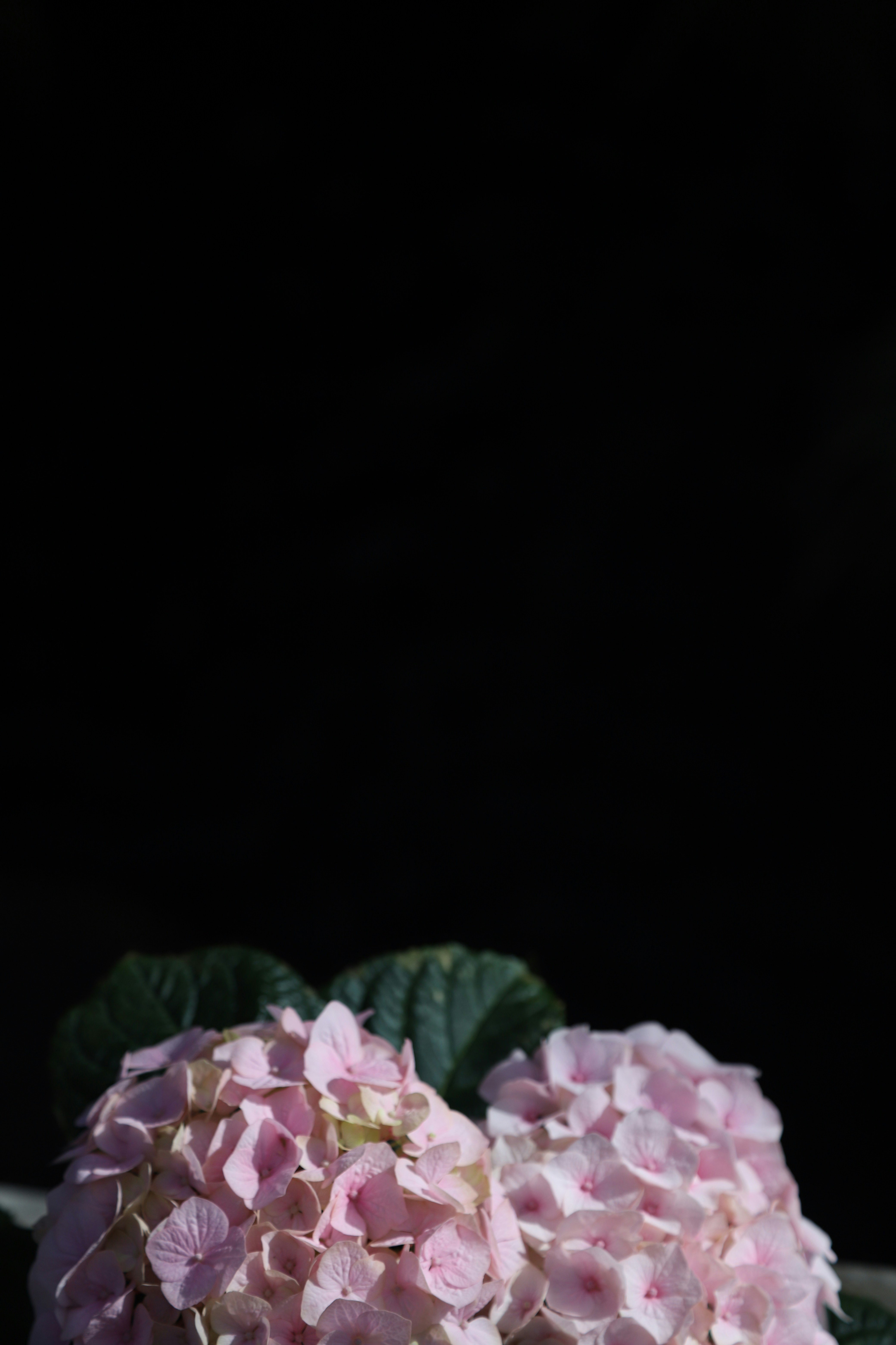 Photo by outimarjaana