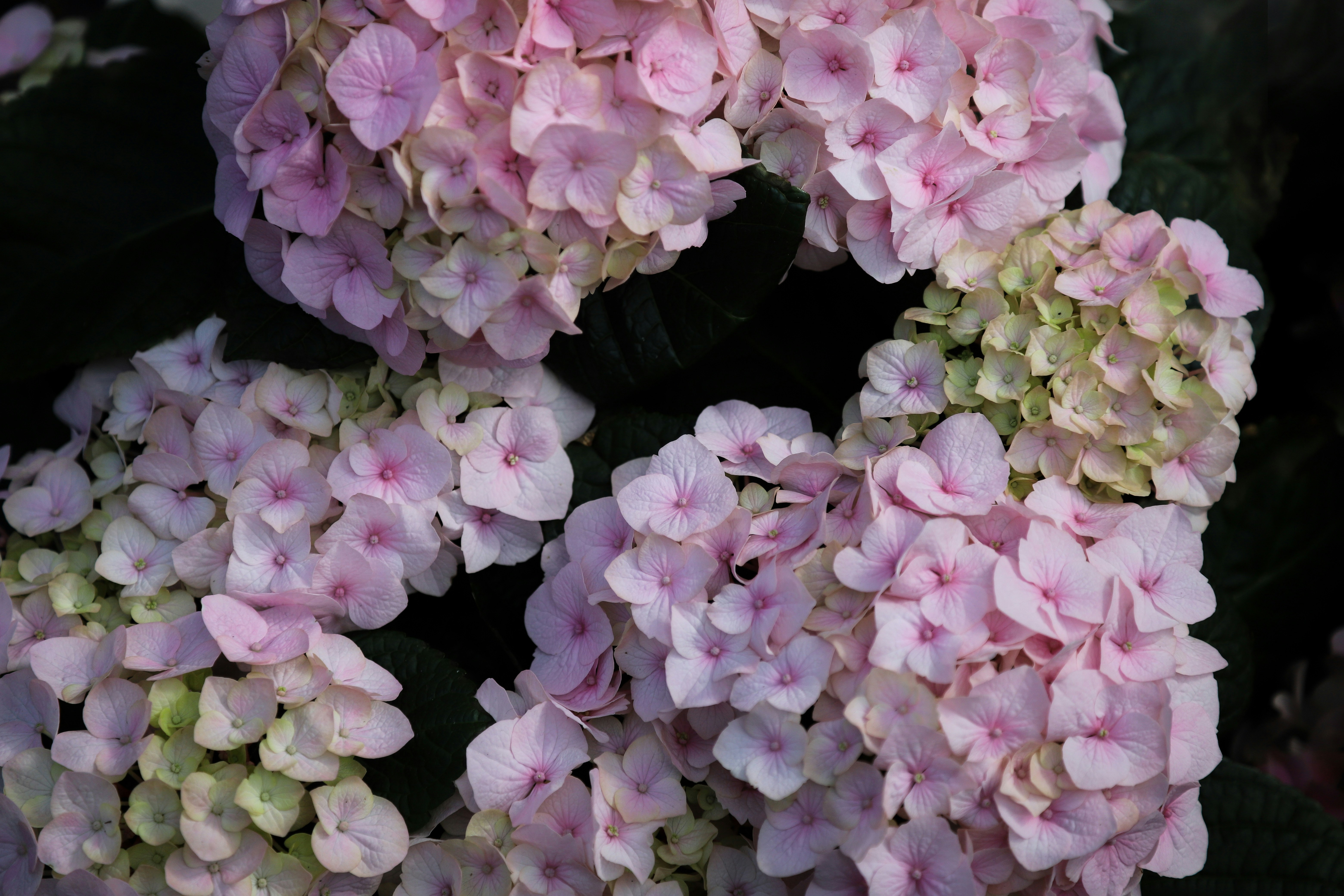 Photo by outimarjaana