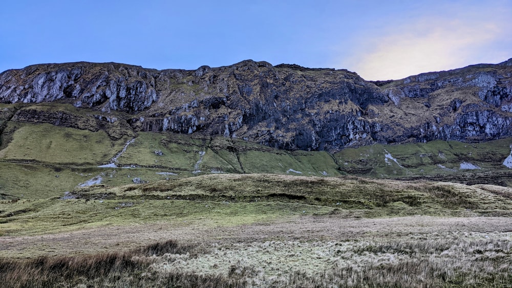 a grassy field with a mountain in the background