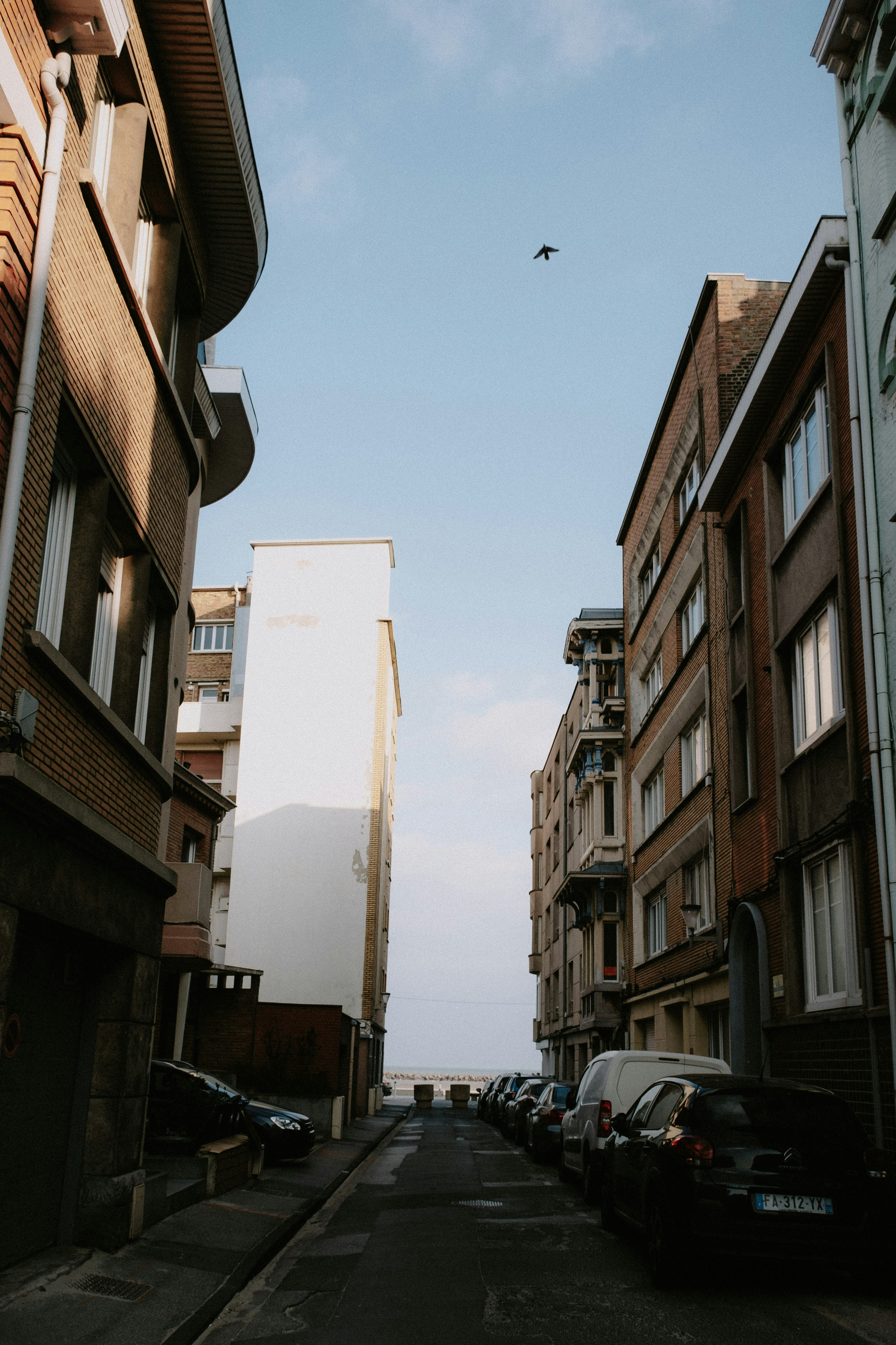 Photo by matreding