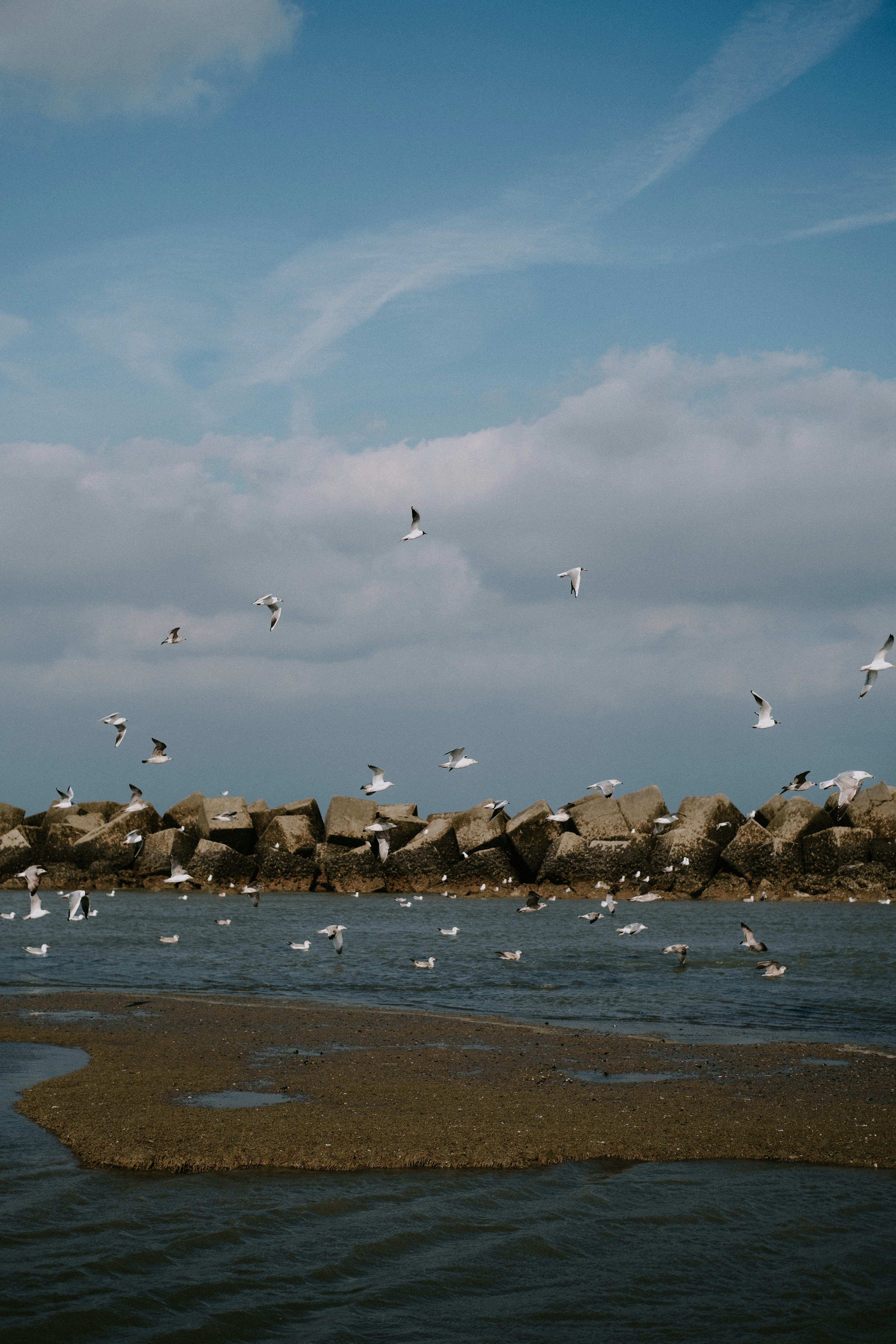 Photo by matreding